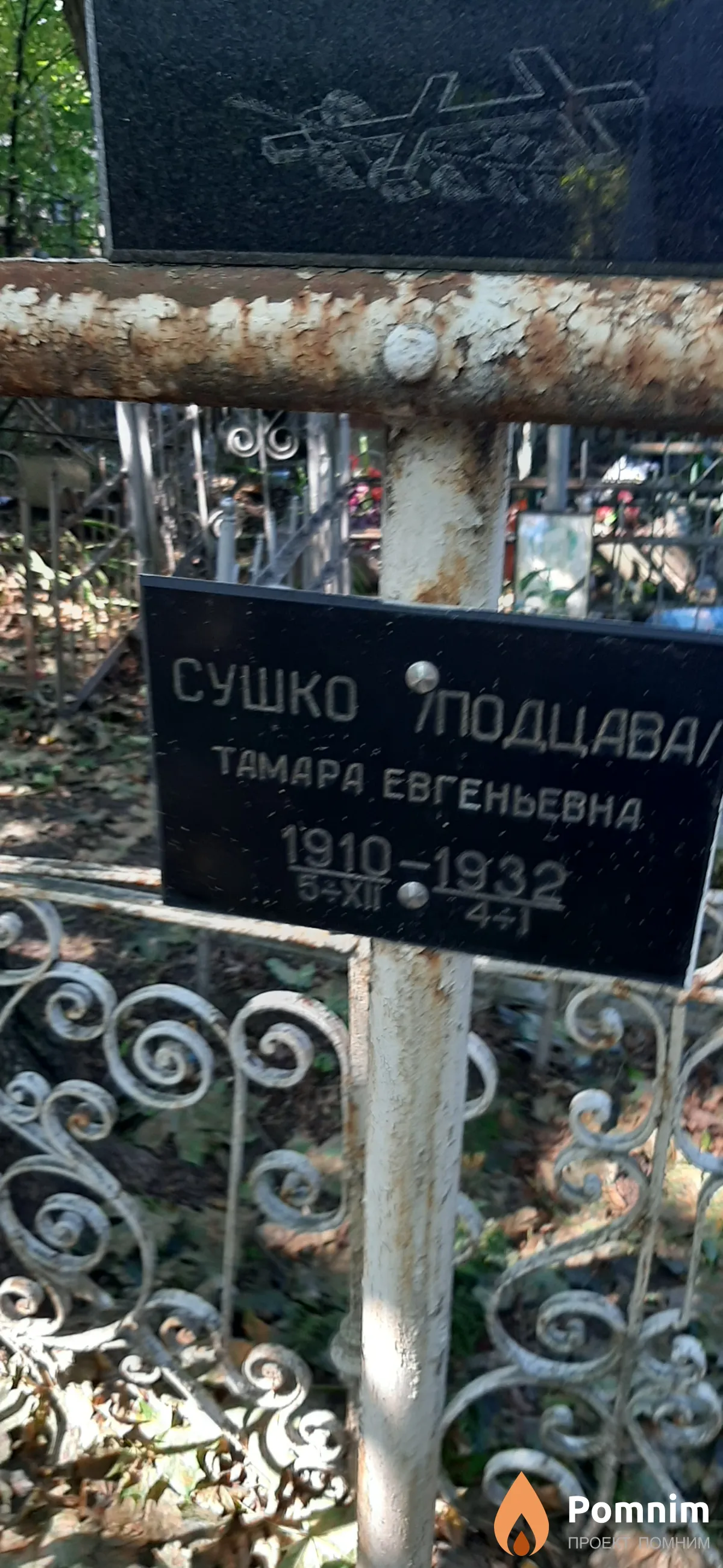 Сушко-Подцава Тамара Евгеньевна
