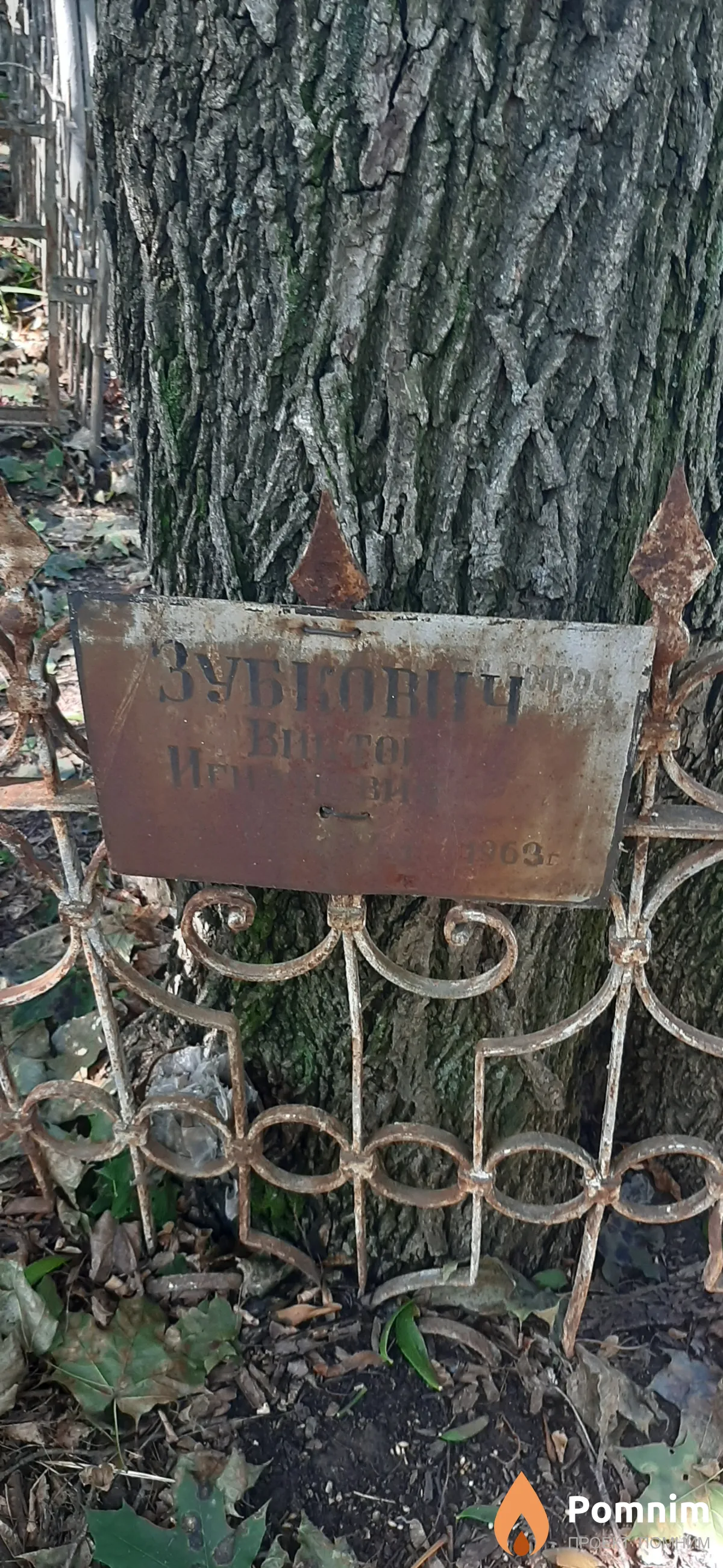 Зубкович Виктор Игнатьевич