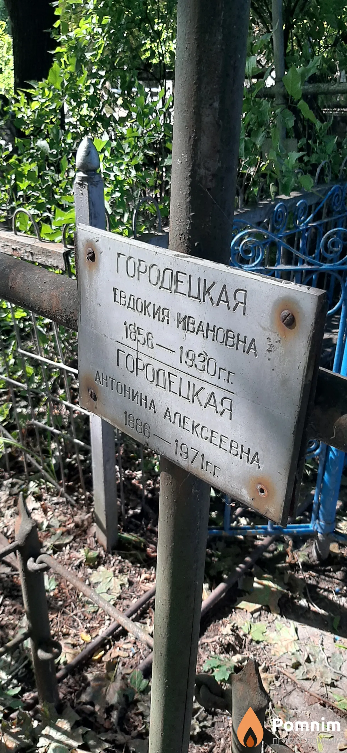 Городецкая Антонина Алексеевна