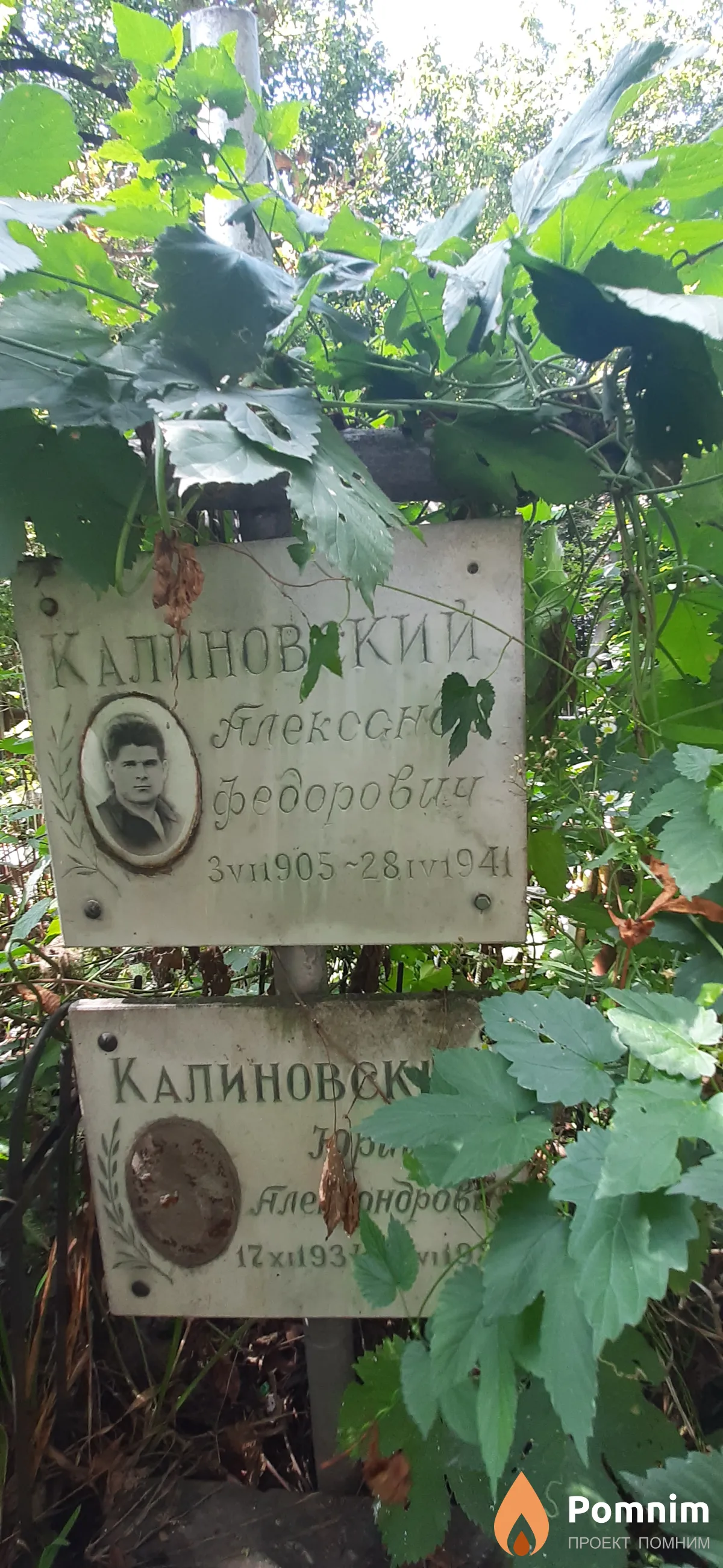 Калиновский Александр Федорович