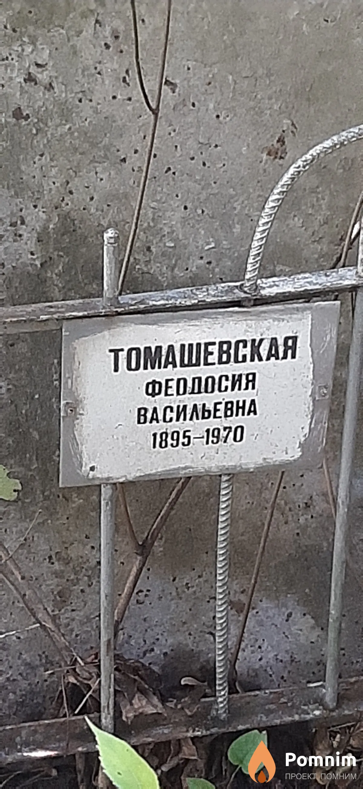 Томашевская Феодосия Васильевна
