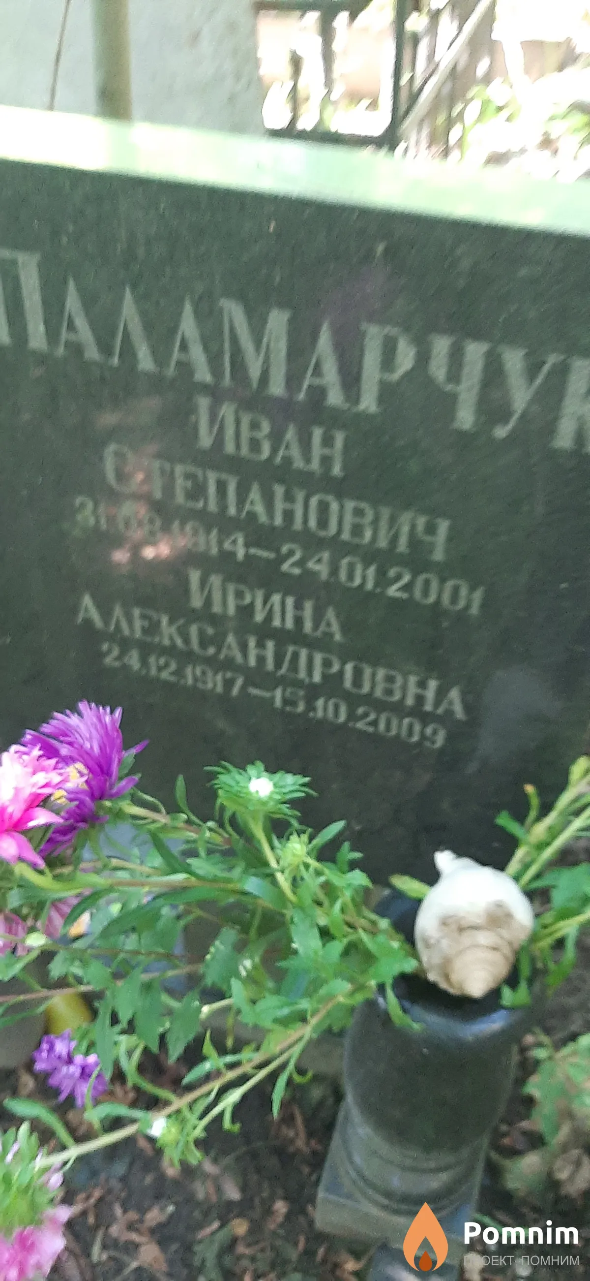 Паламарчук Ирина Александровна