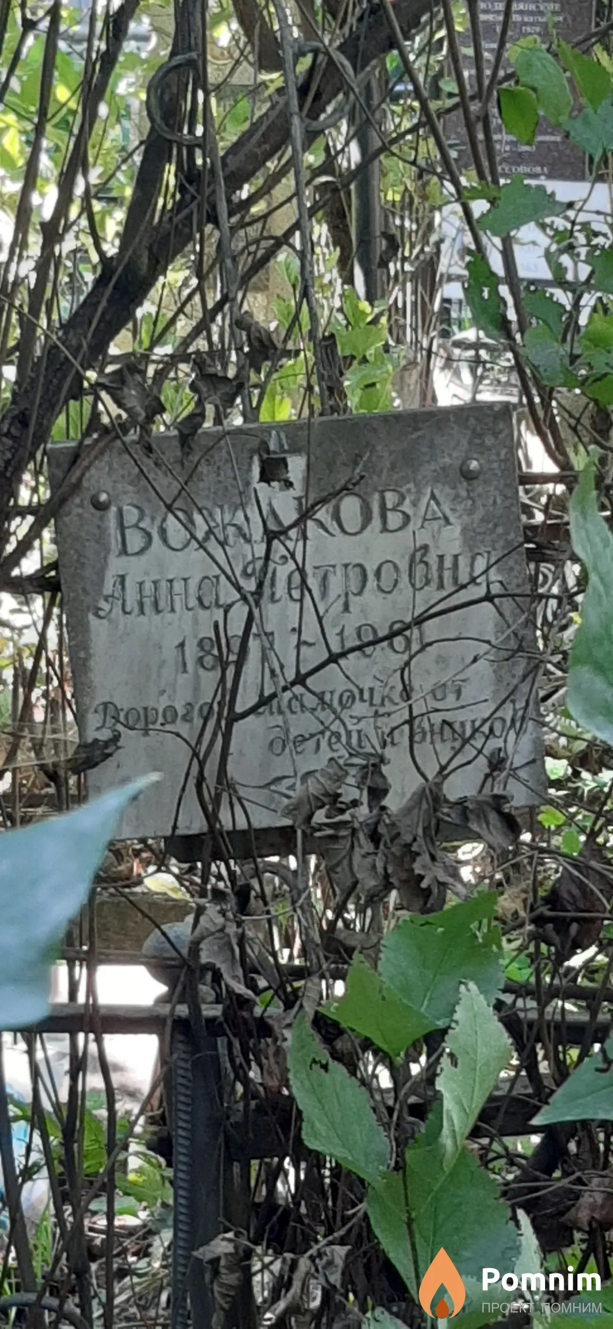 Вожакова Анна Петровна