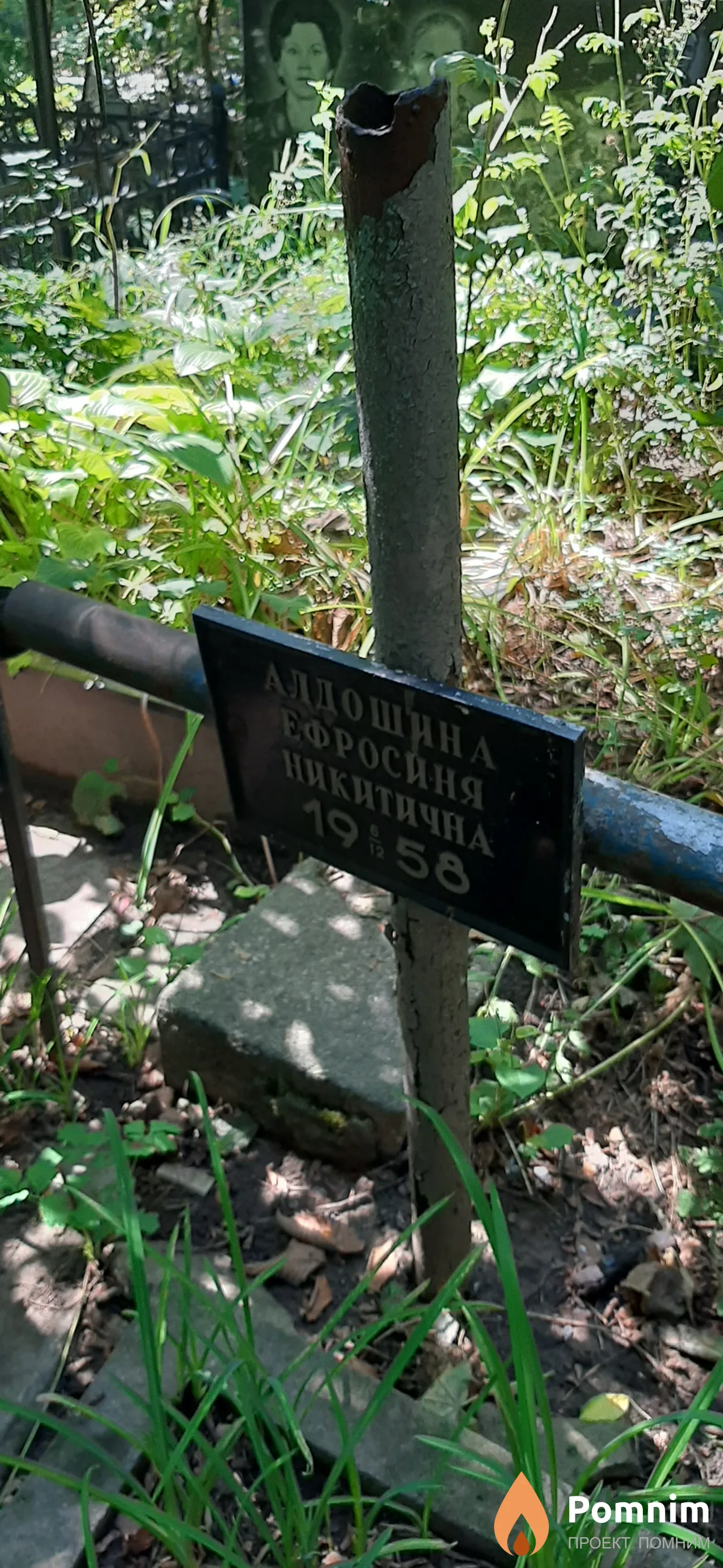 Аддошина Ефросиня Никитична