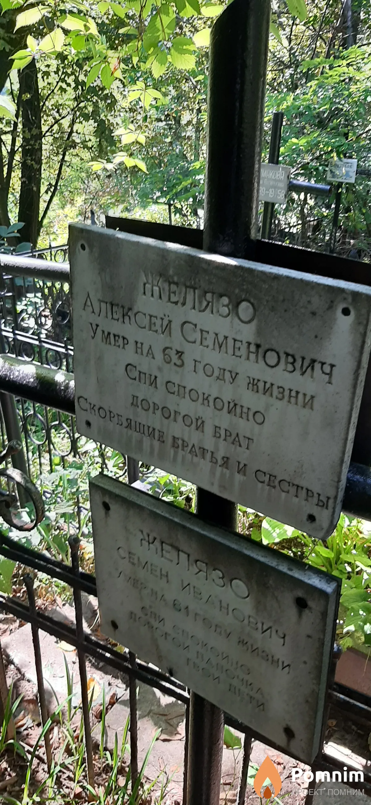 Желязо Алексей Семенович