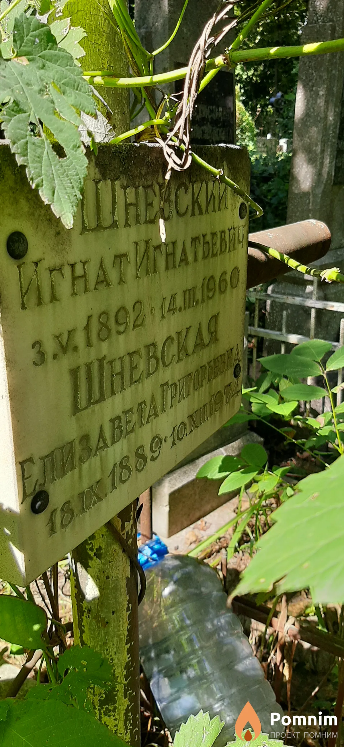 Шневский Игнат Игнатьевич