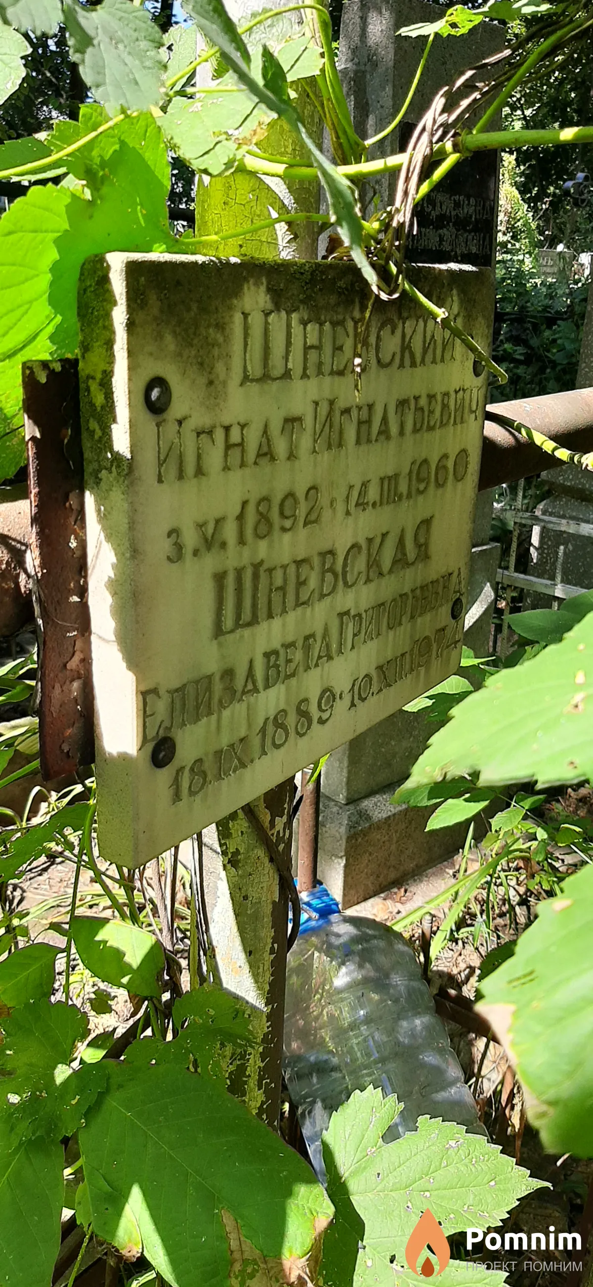Шневская Елизавета Григорьевна