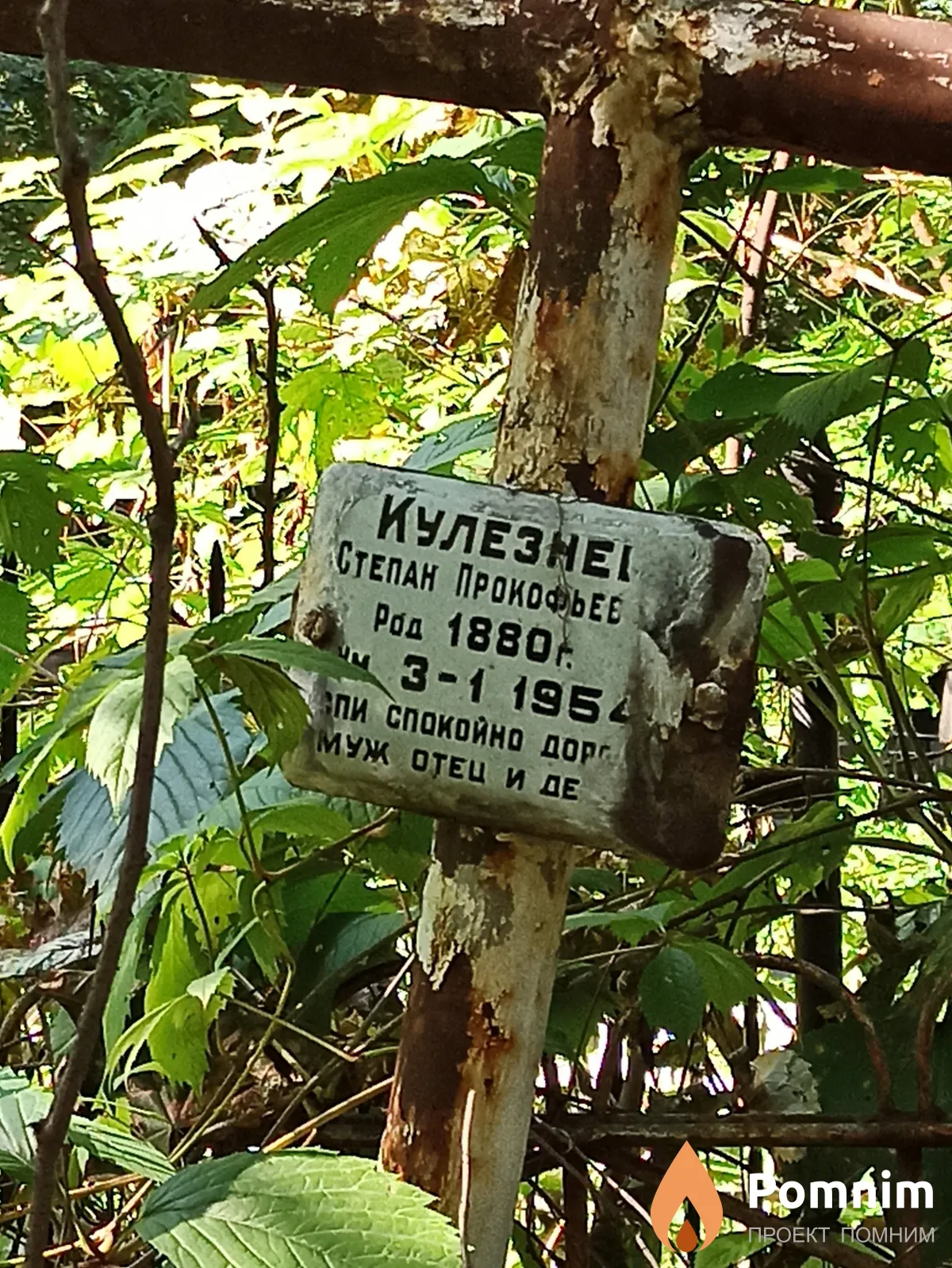Кулезнев Степан Прокофьевич