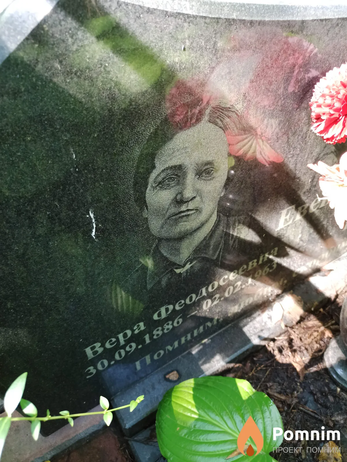 Евенко Вера Феодосеевна