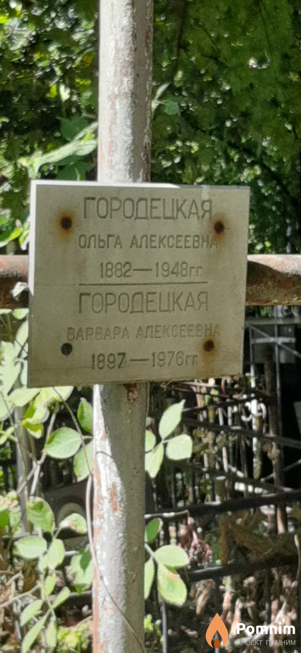 Городецкая Ольга Алексеевна