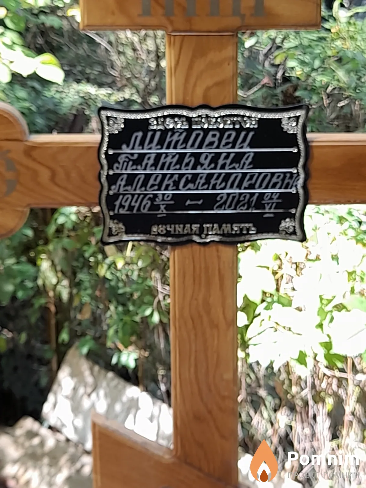 Литовец Татьяна Александровна
