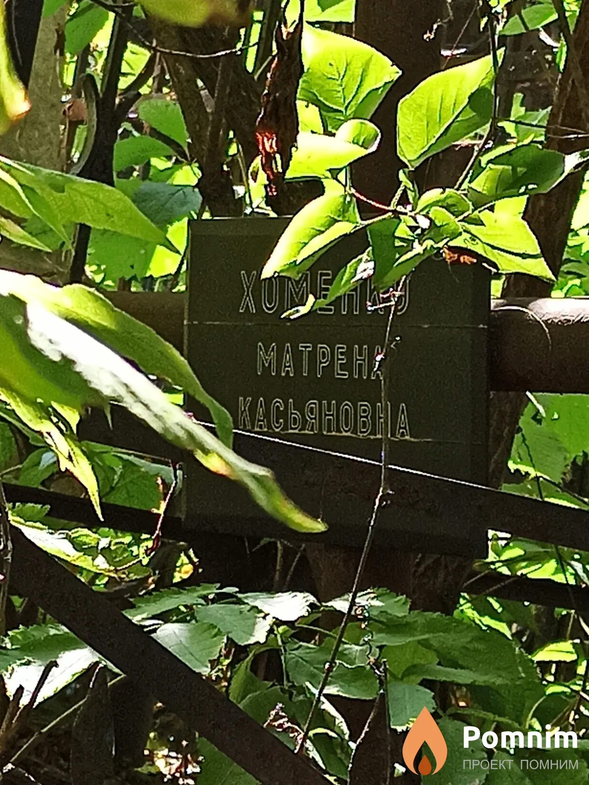 Хоменко Матрена Касьяновна