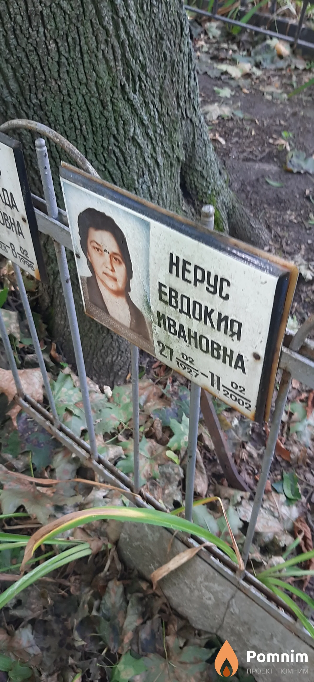 Нерус Надежда Ивановна