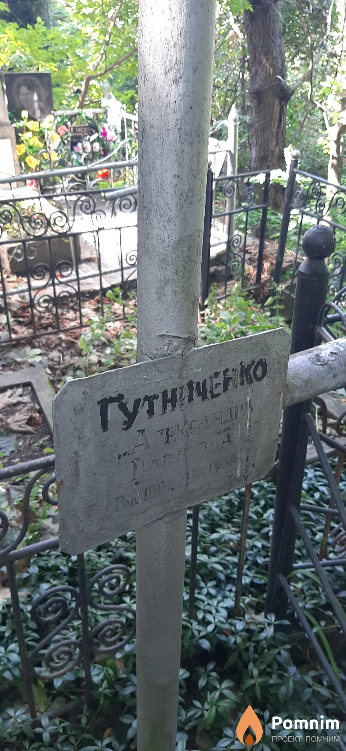 Гутниченко Александра