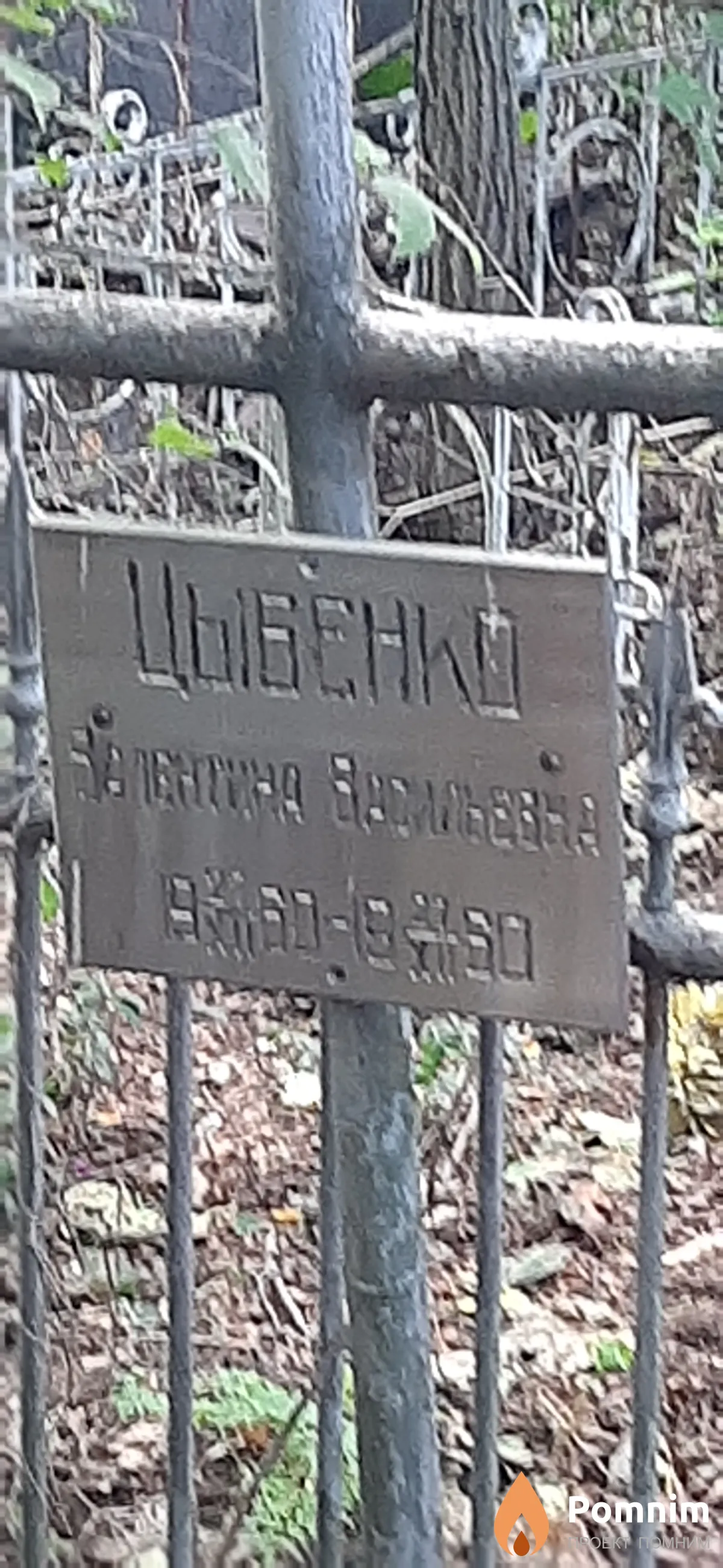 Цыбенка Валентина Васильевна