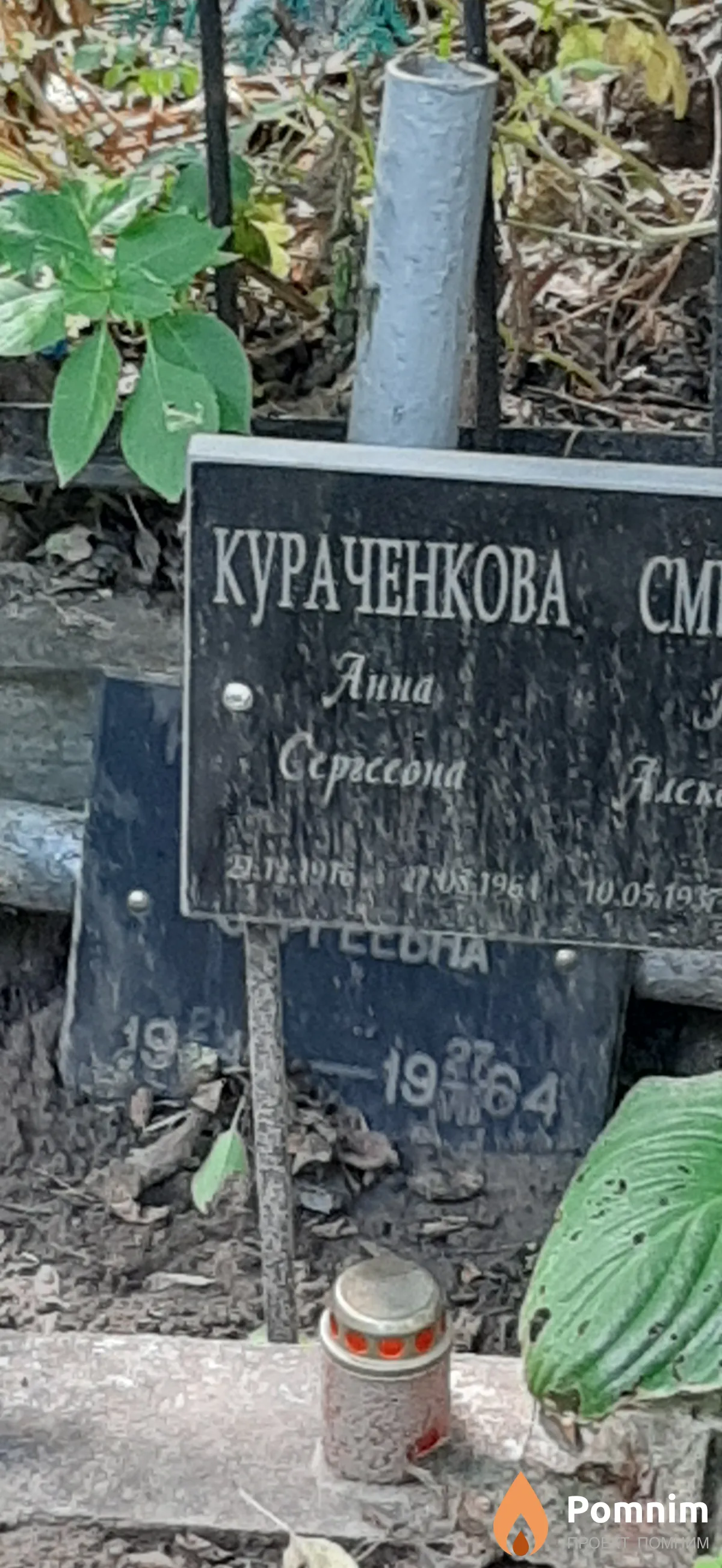 Кураченко Анна Сергеевна