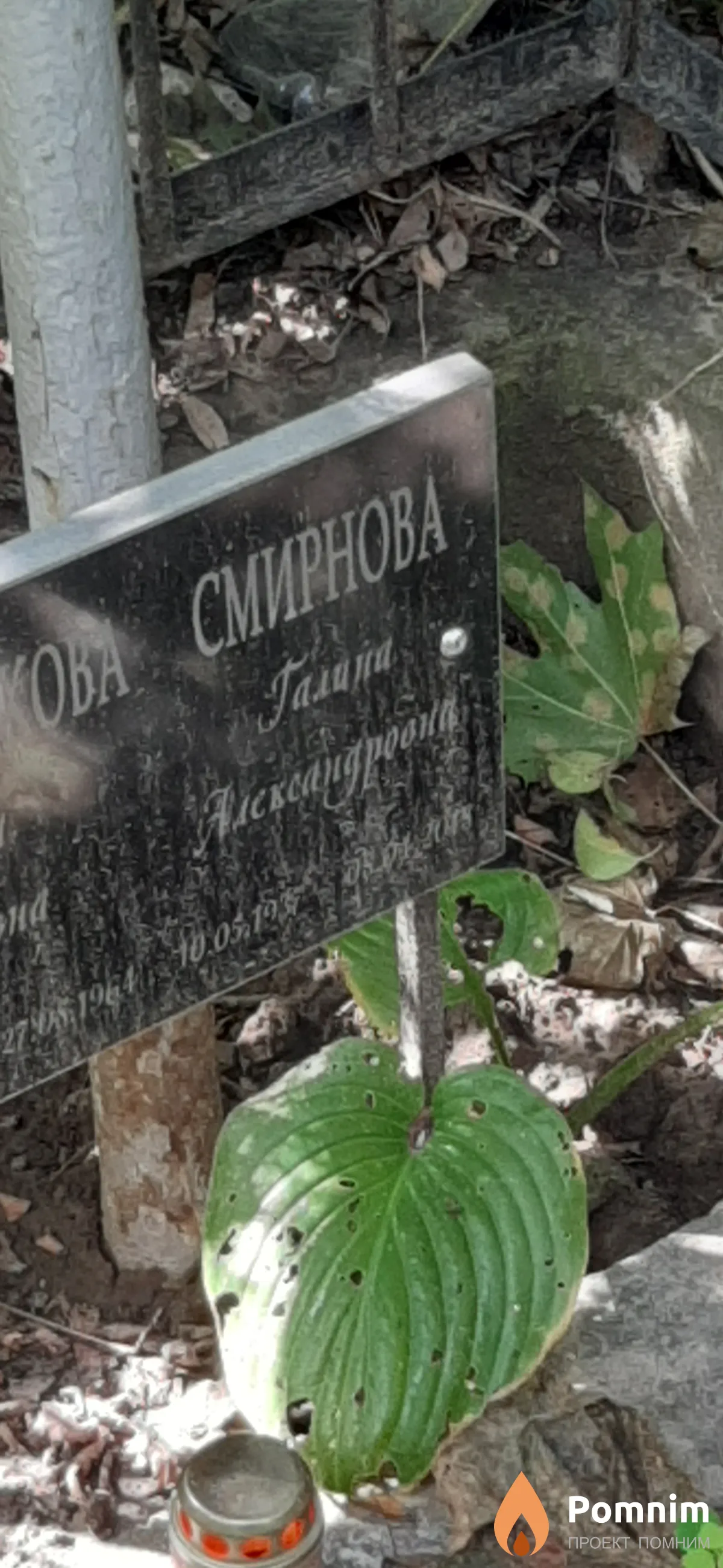 Смирнова Галина Александровна