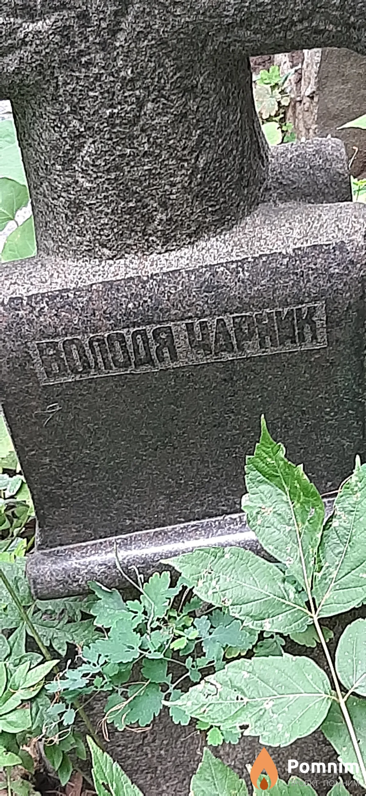 Чарник Володя