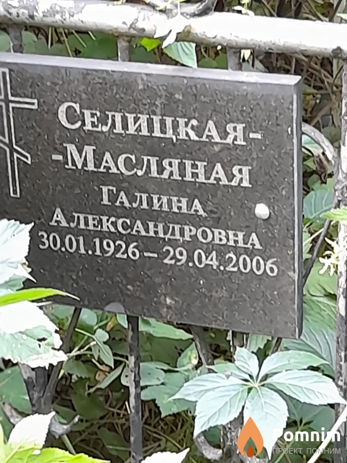 Селицкая-Масляная Галина Александровна