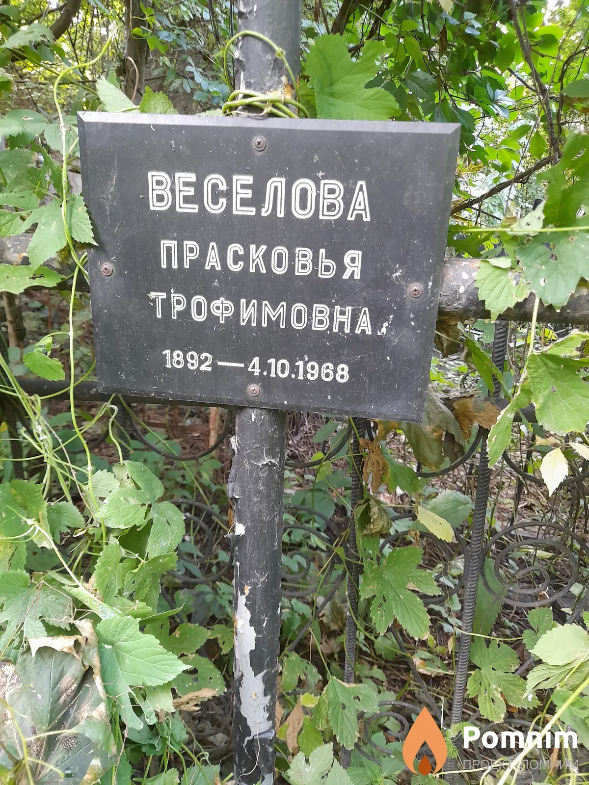 Веселова Прасковья Трофимовна