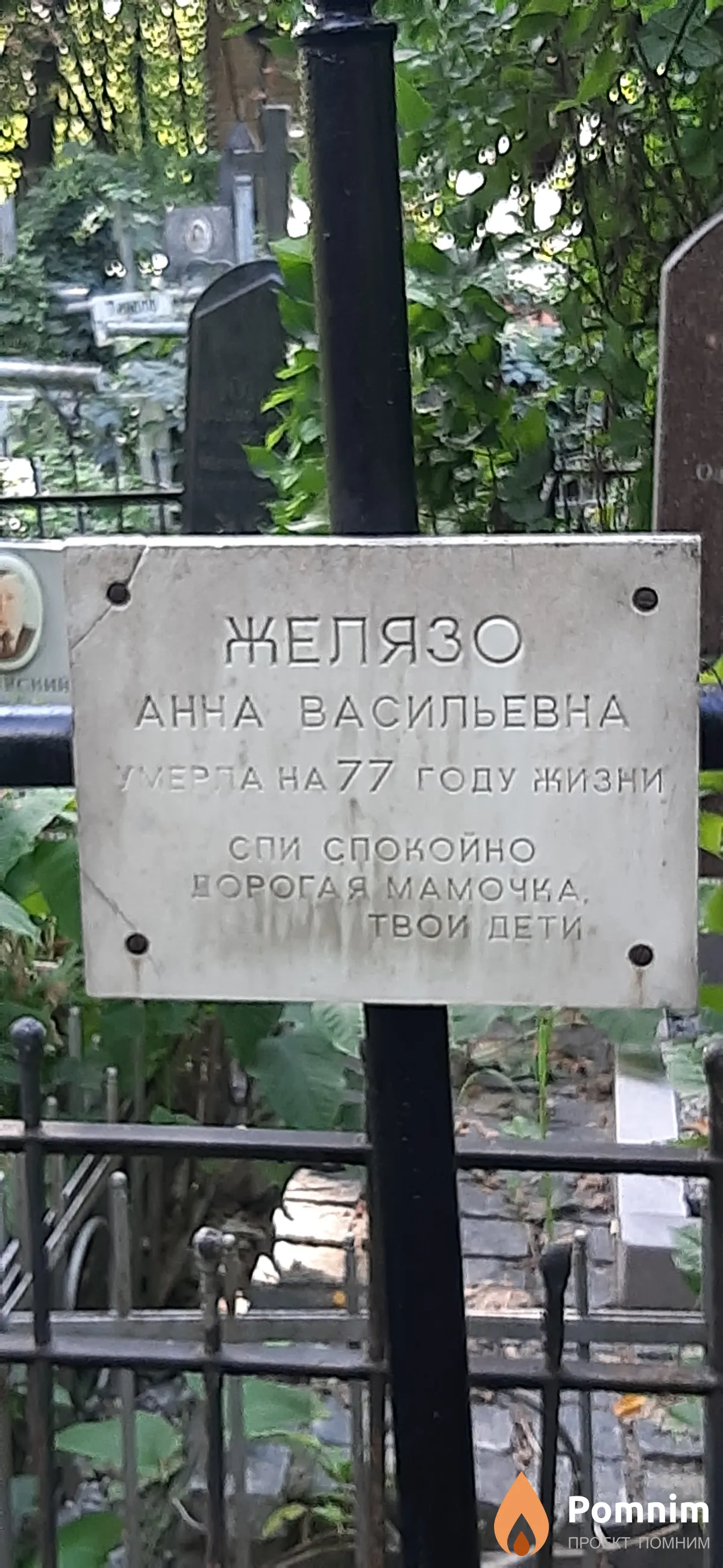 Желязо Анна Васильевна