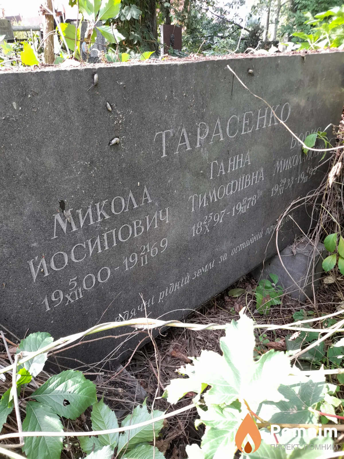 Тарасенко Микола Иосипович