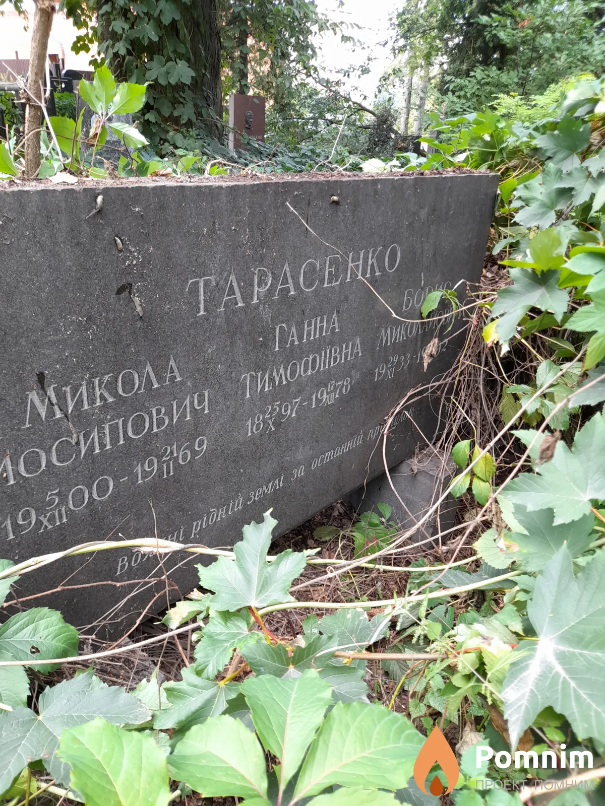 Тарасенко Ганна Тимофеевна