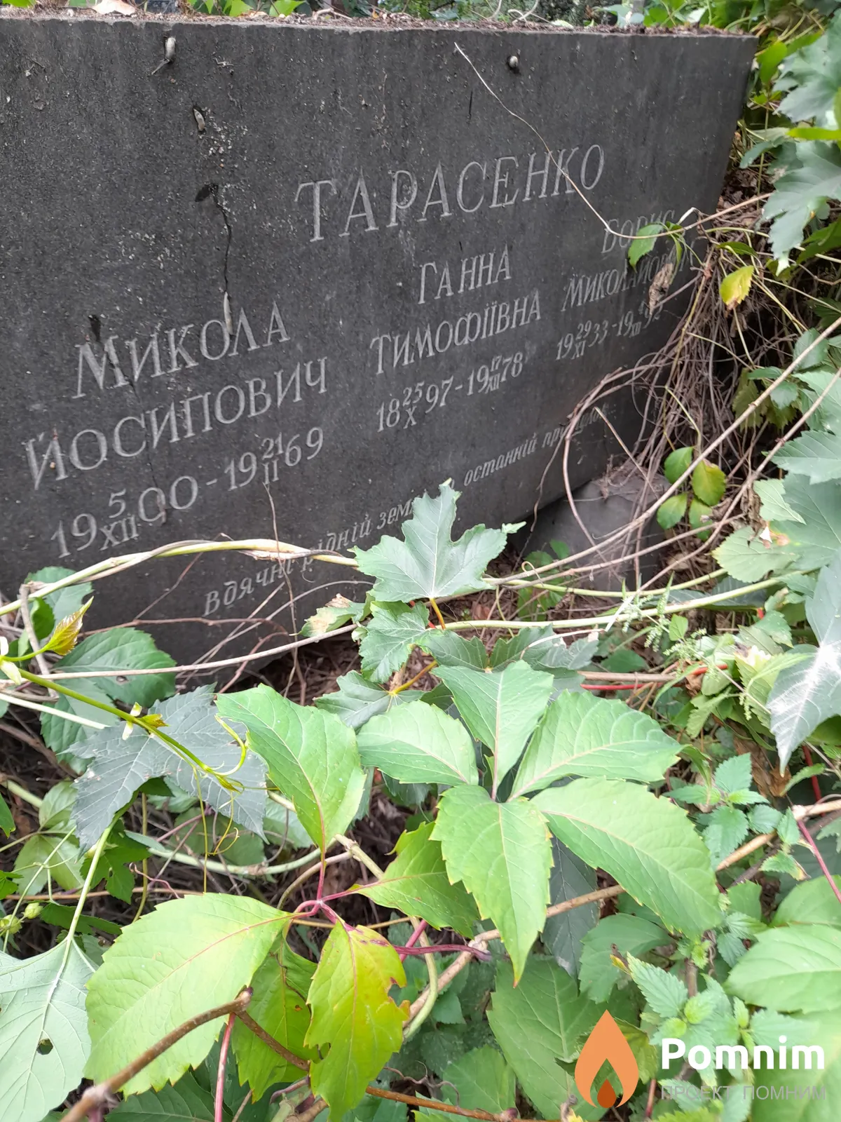 Тарасенко Борис Миколайович