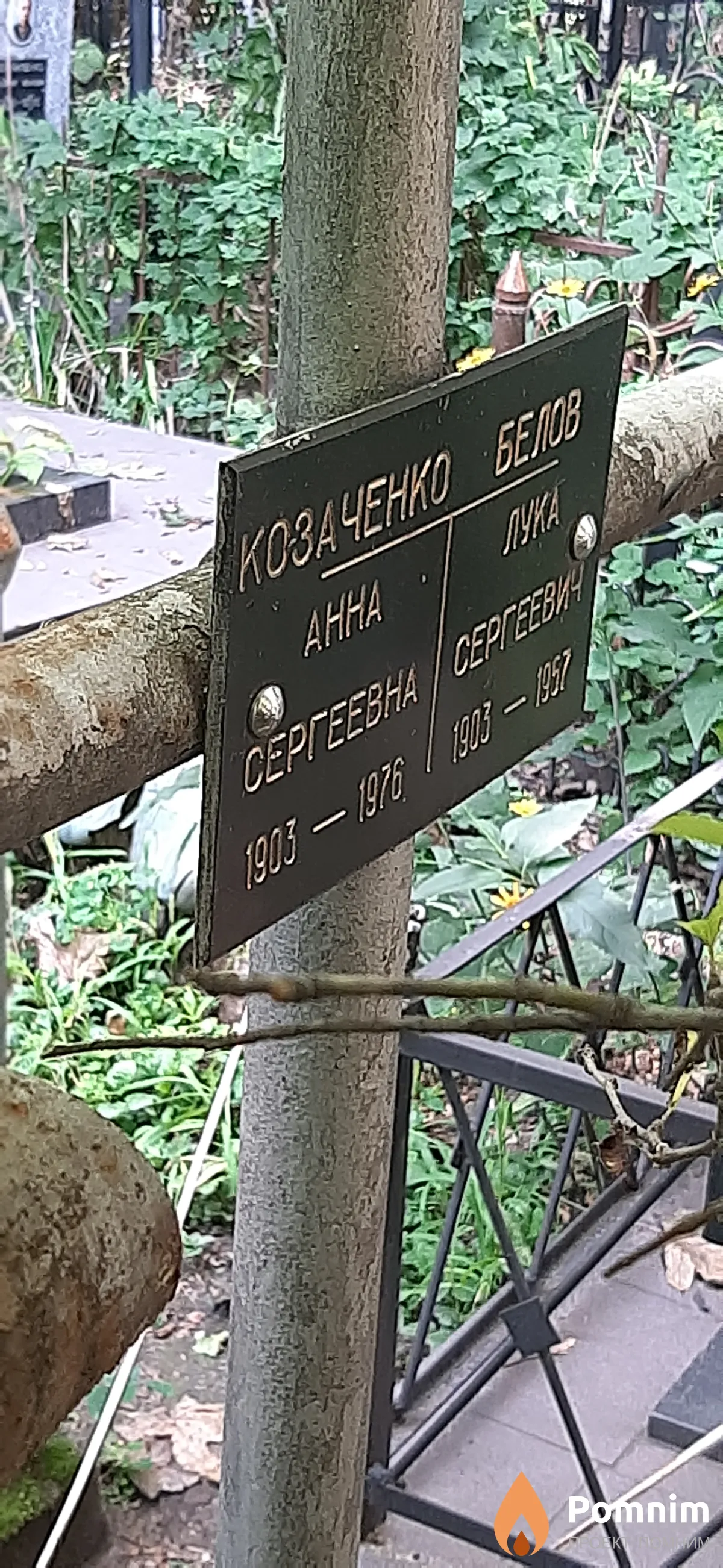 Козаченко Анна Сергеевна