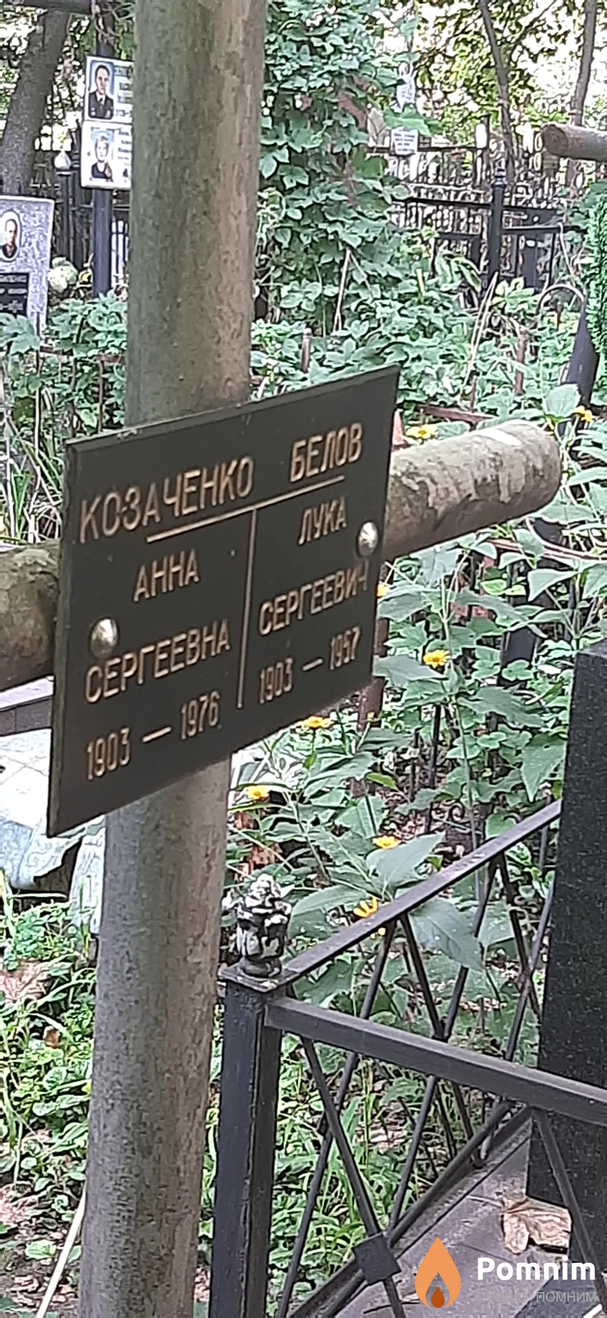 Белов Лука Сергеевич