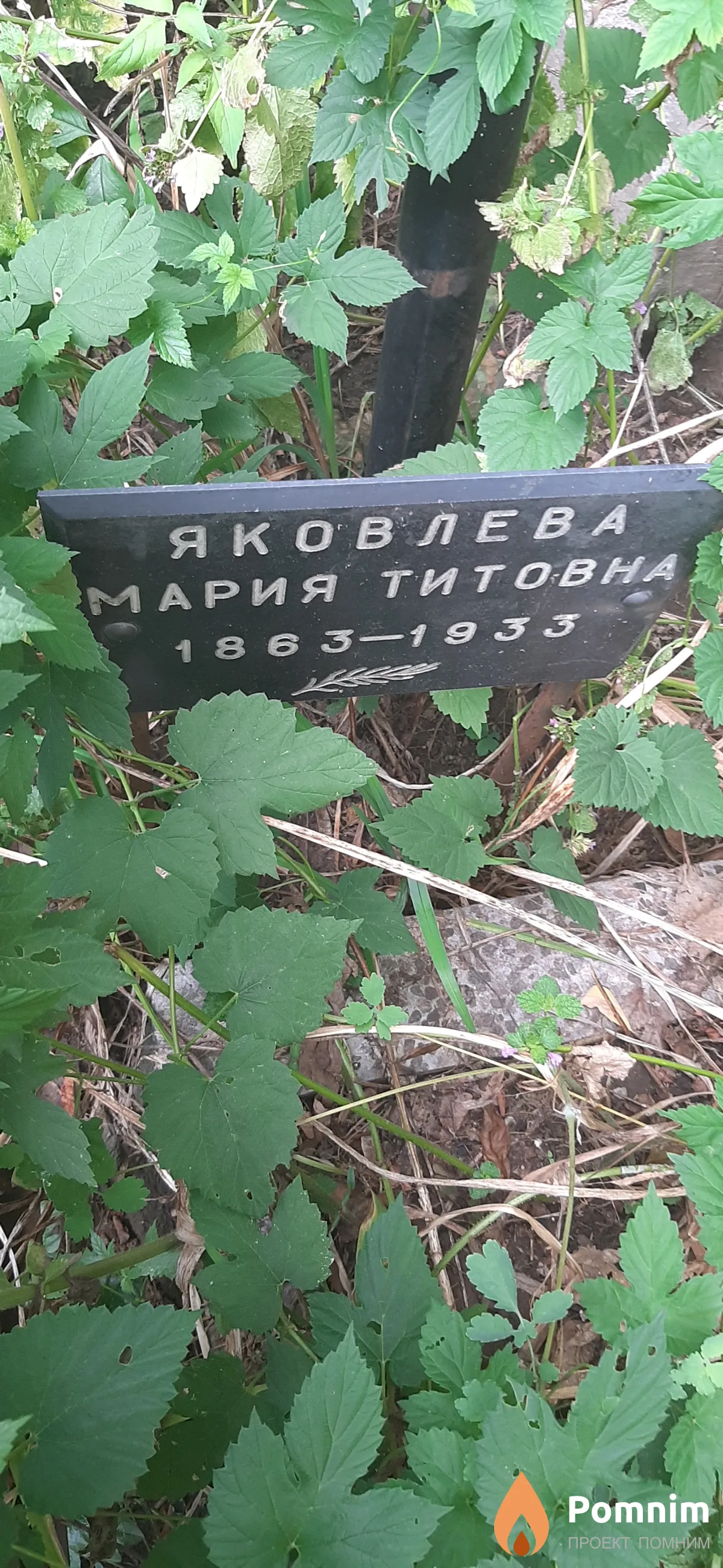Яковлева Мария Титова