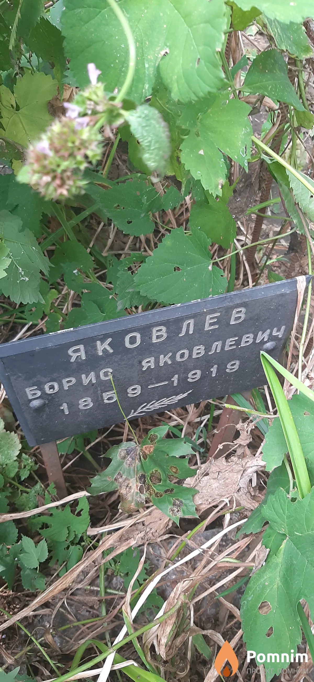 Яковлев Борис Яковлевич