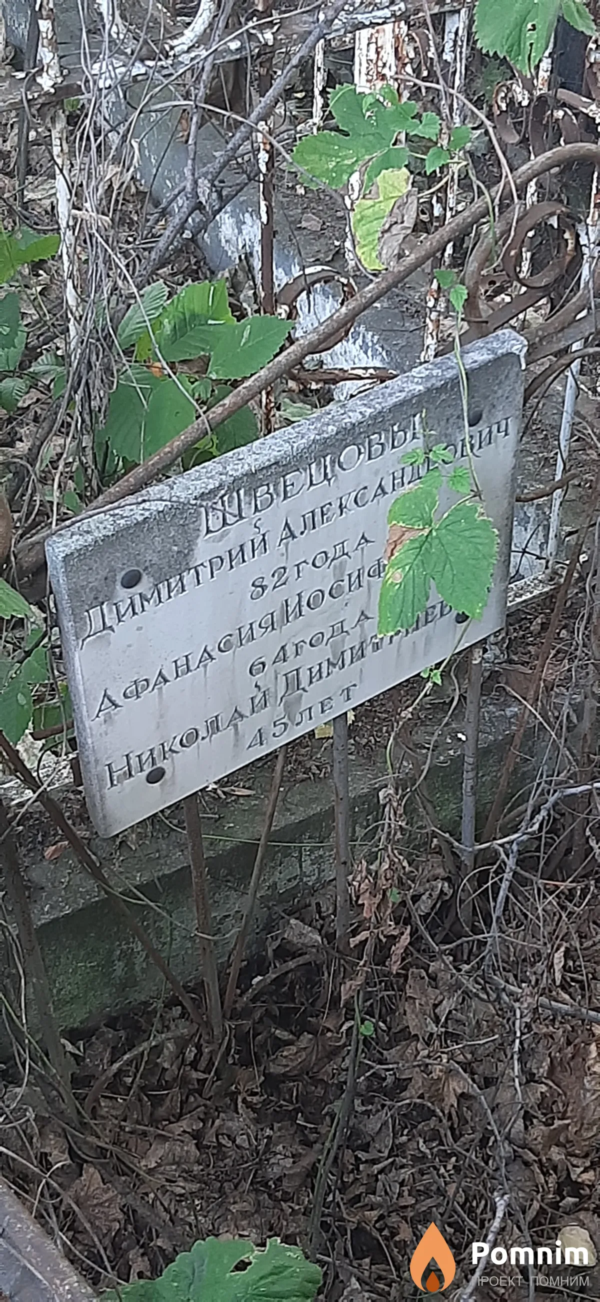 Швецов Димитрий Александрович