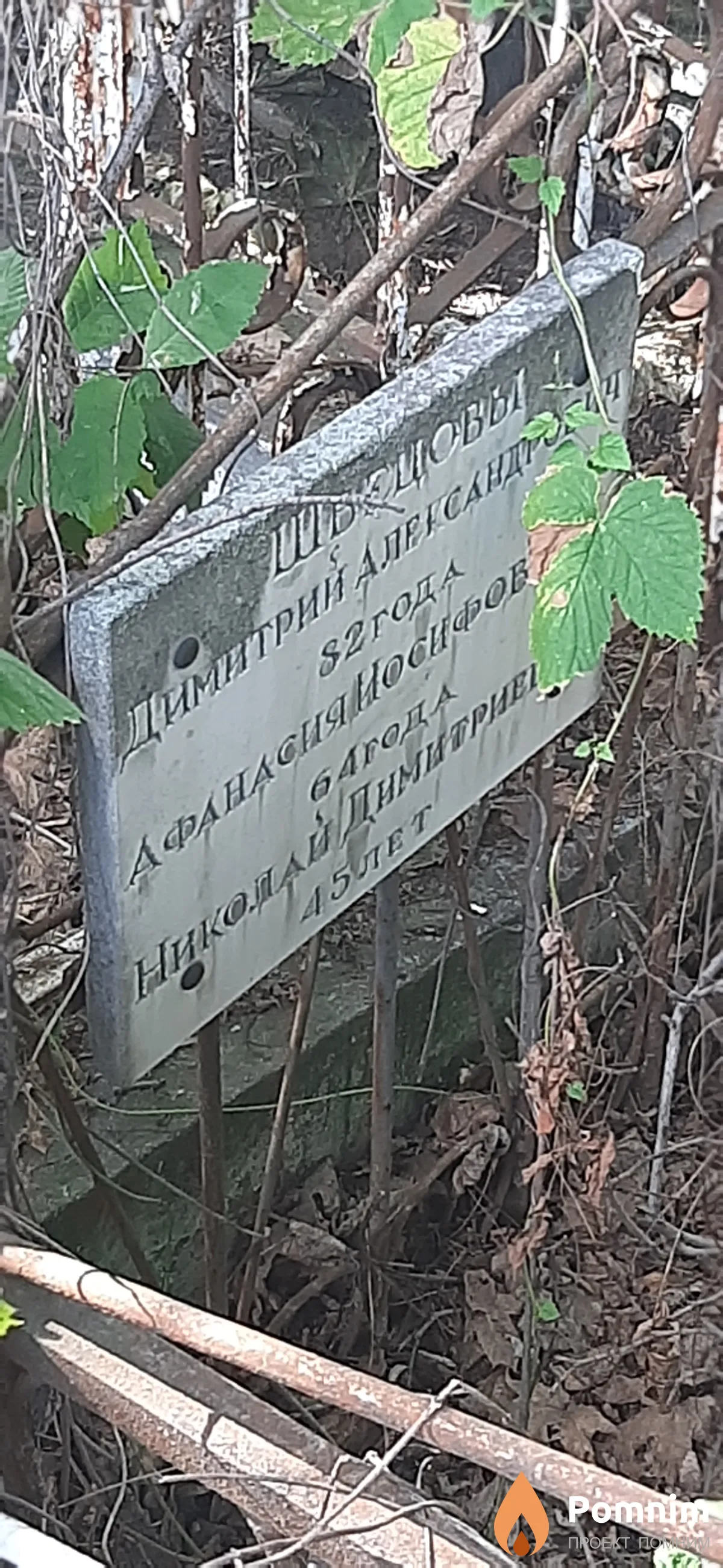 Швецов Николай Димитриевич