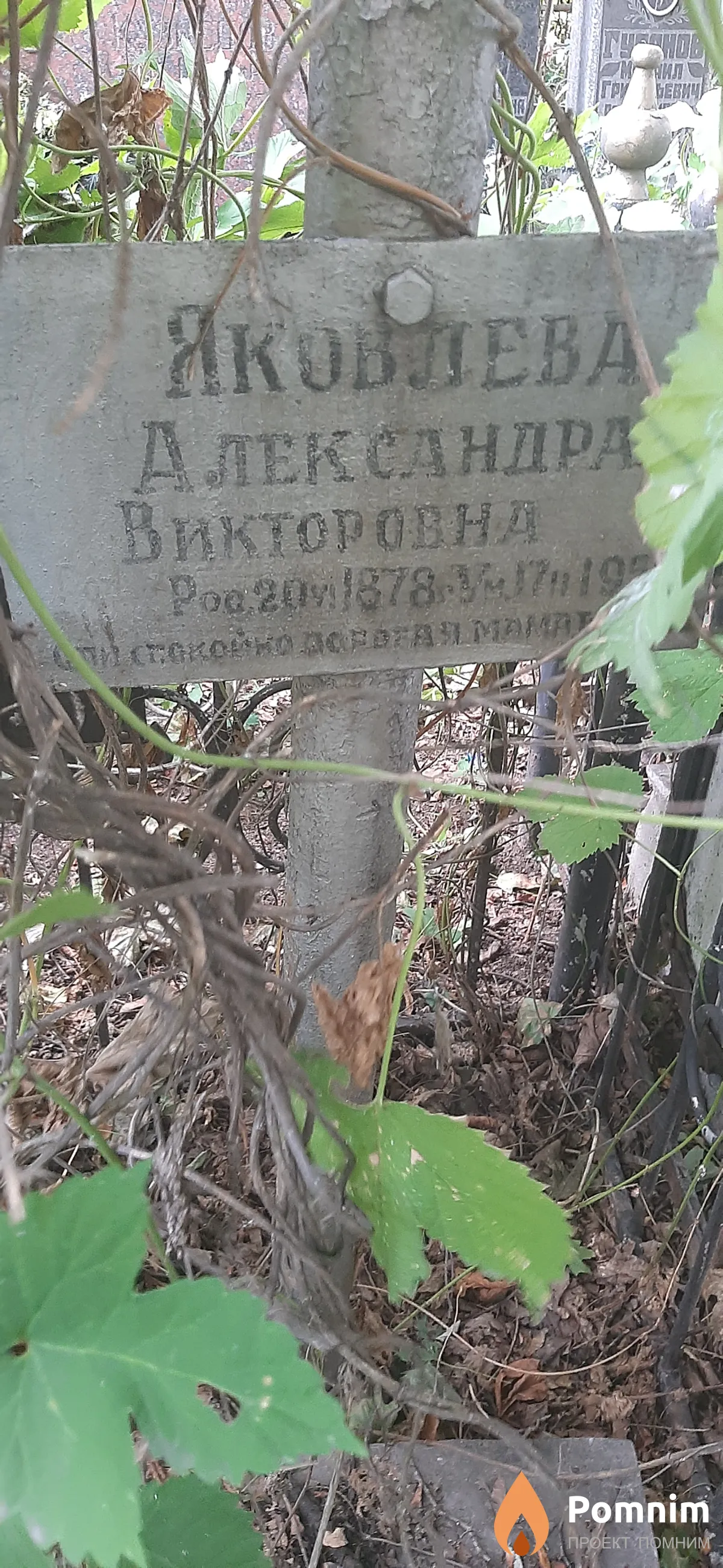 Яковлева Александра Викторовна