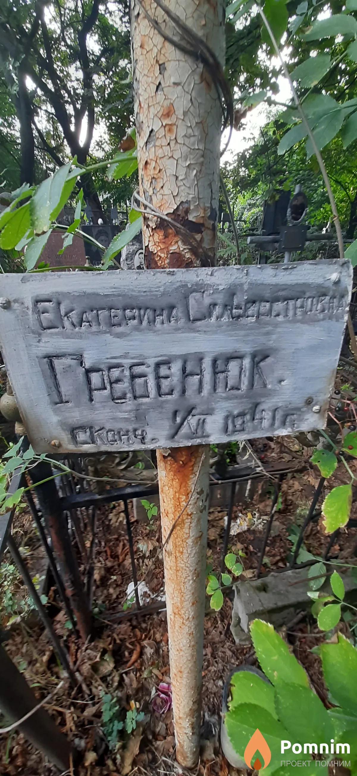 Гребенюк Екатерина Сильвестровна