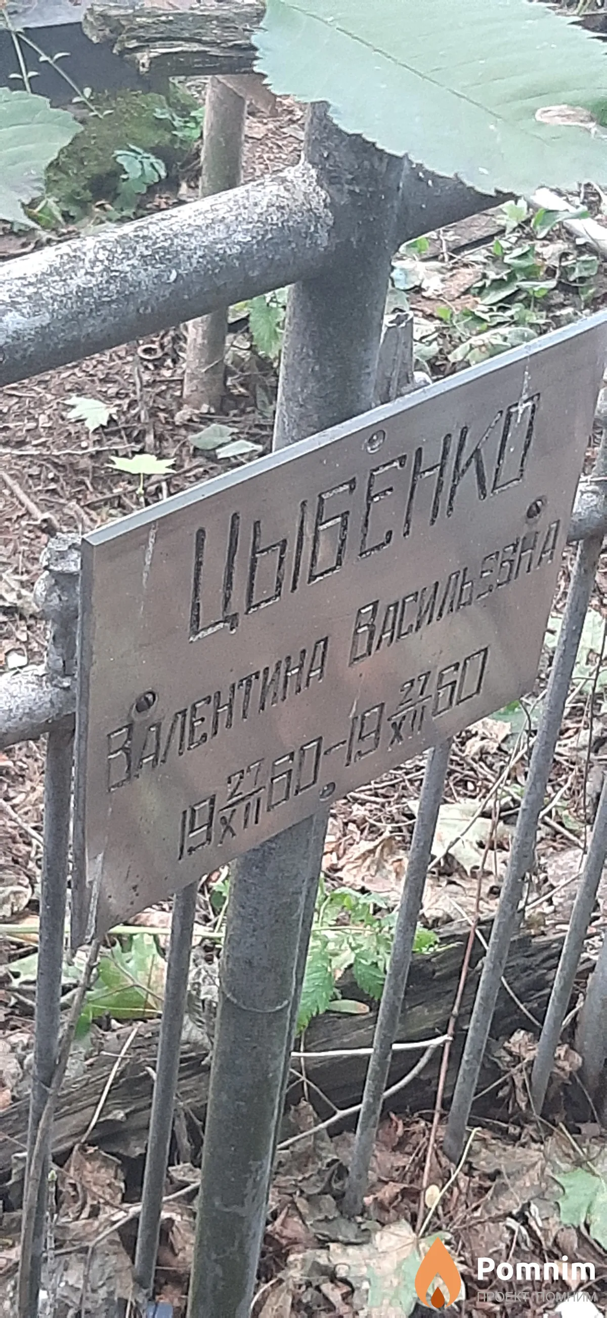 Цыбенко Валентина Васильевна
