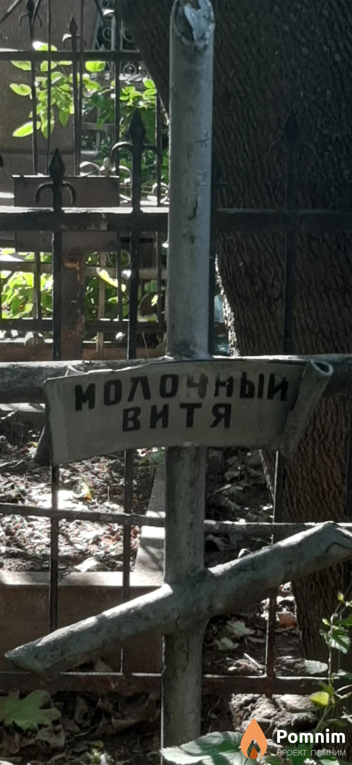 Молочный Витя