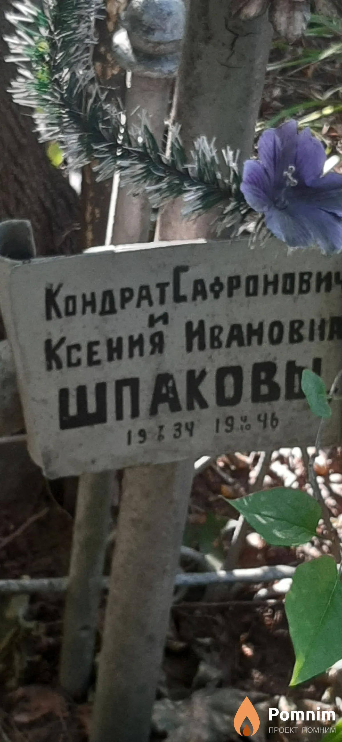 Шпакова Ксения Ивановна