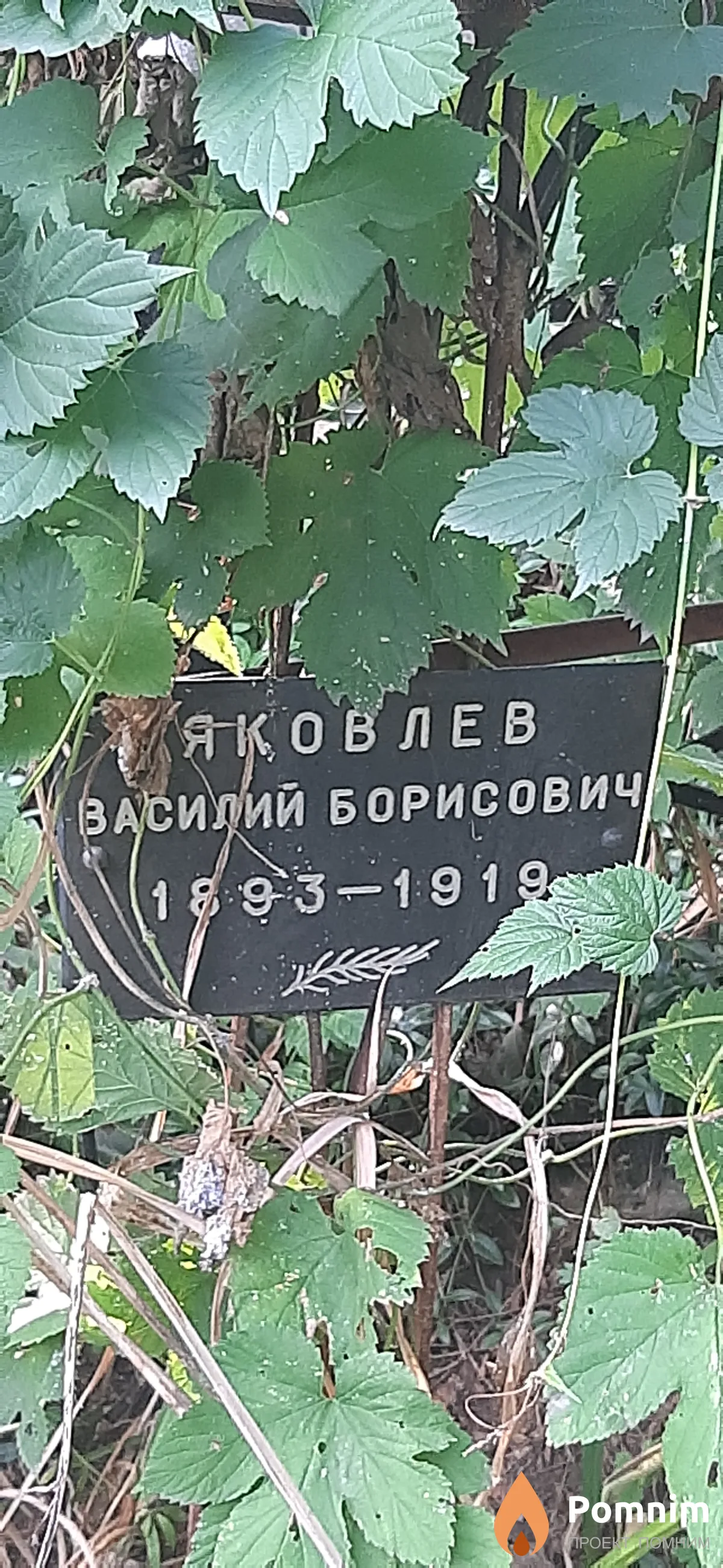 Яковлев Василий Борисович