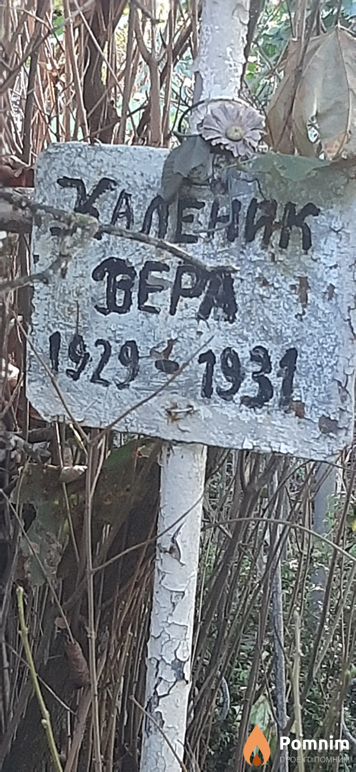 Халеник Bepа
