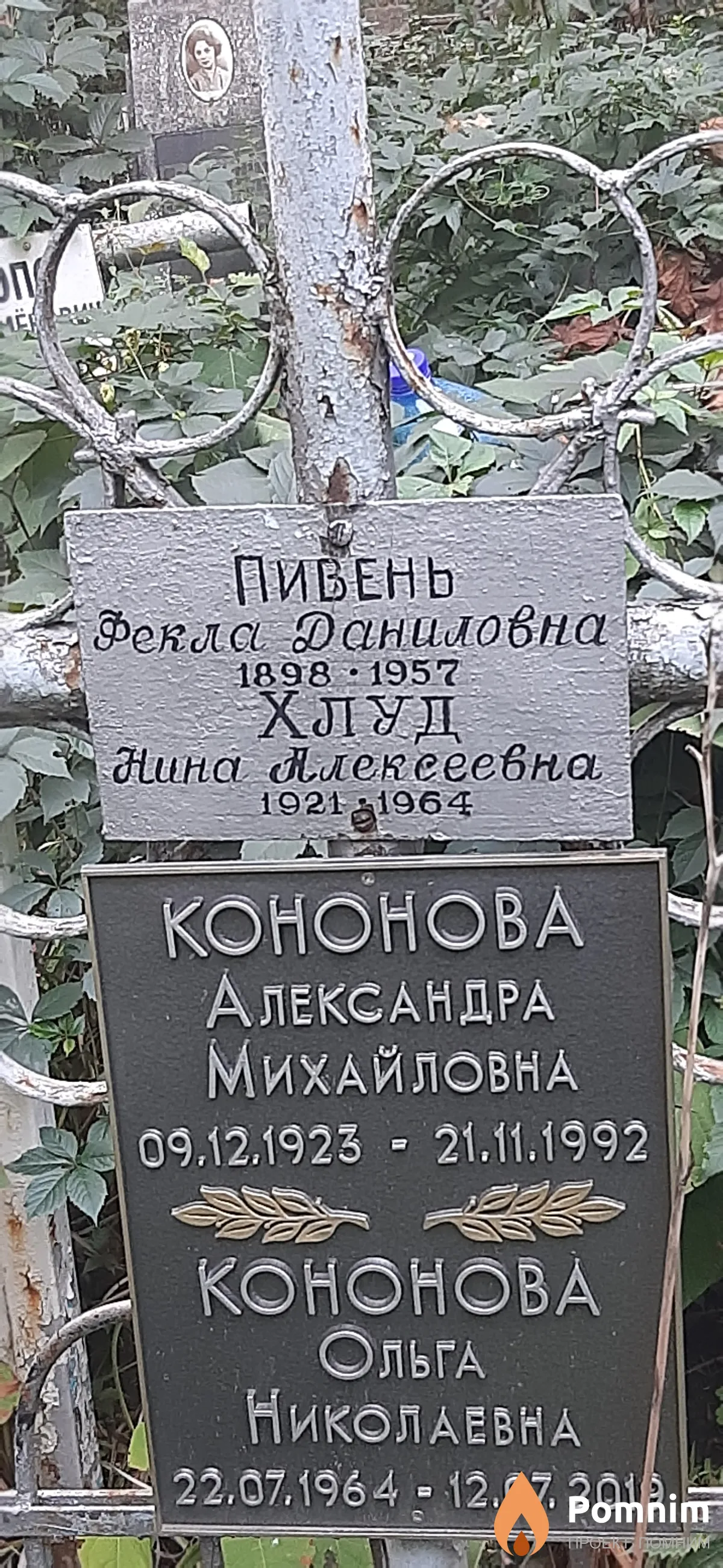 Хлуд Нина Алексеевна