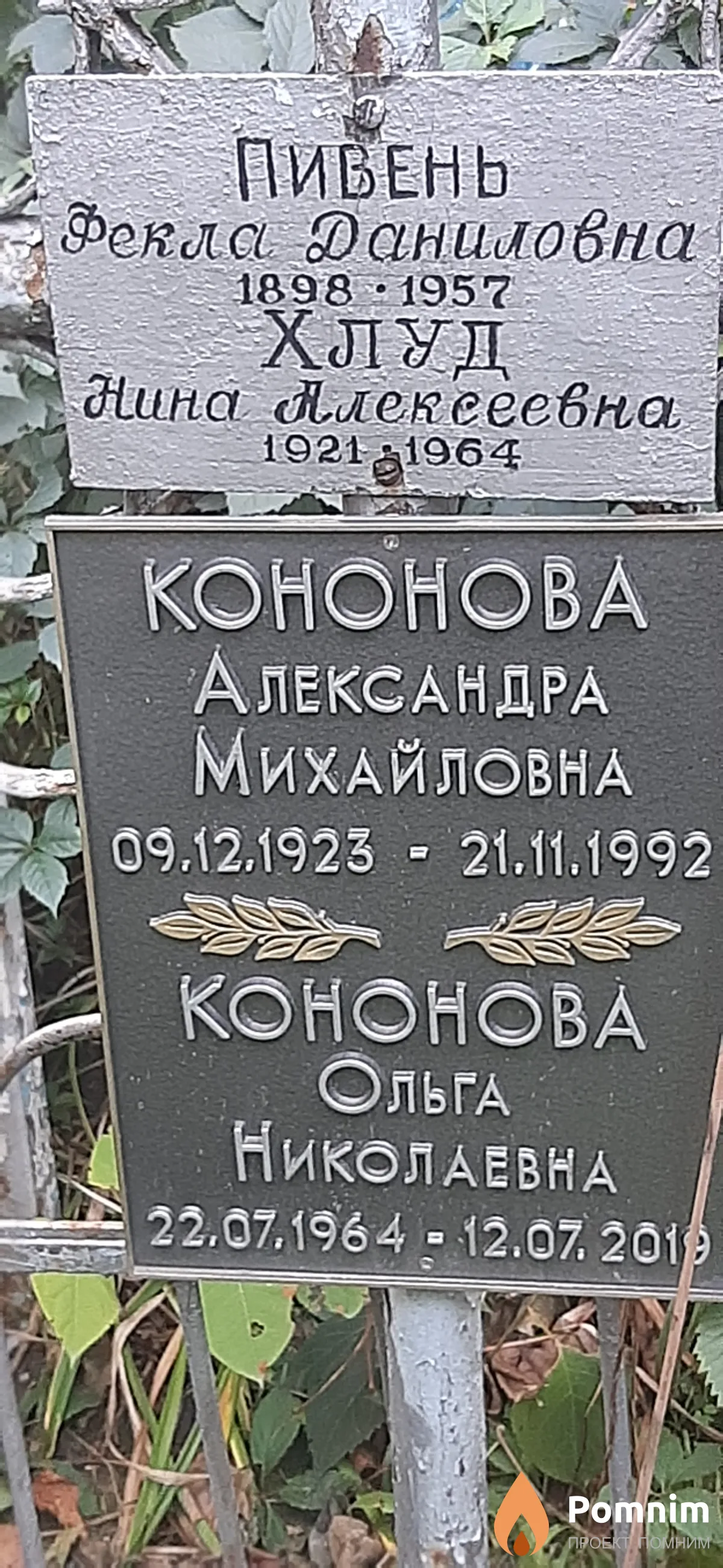 Кононова Александра Михайловна