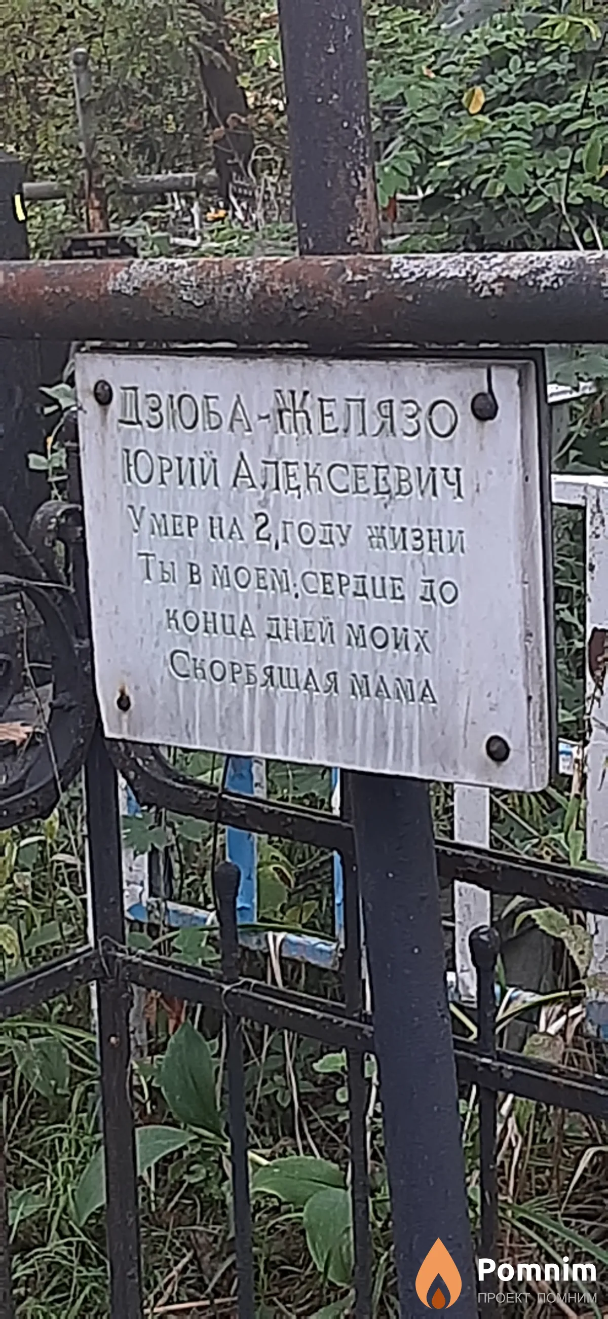 Дзоба-Желязо Юрий Алексеевич