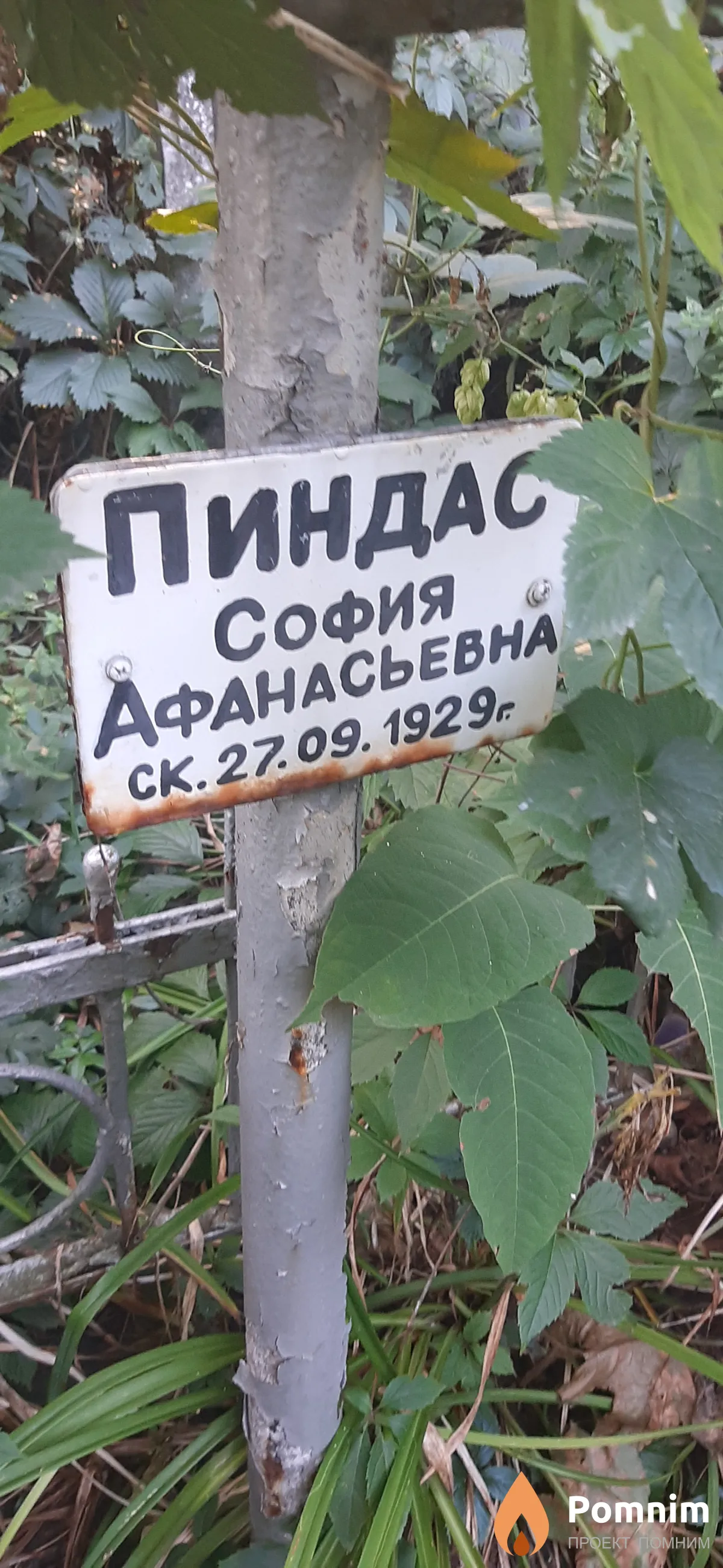 Пиндас София Афанасьевна