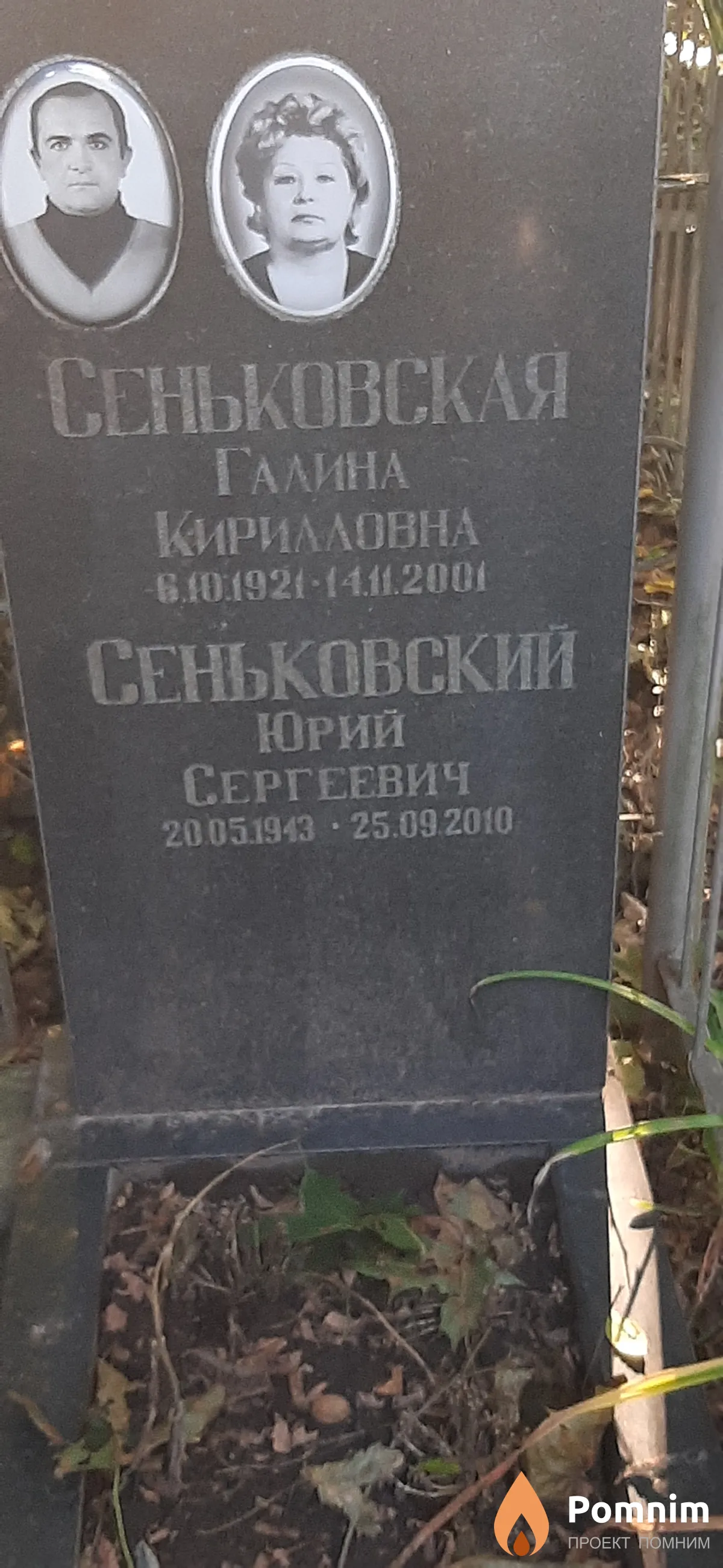 Сеньковский Юрий Сергеевич