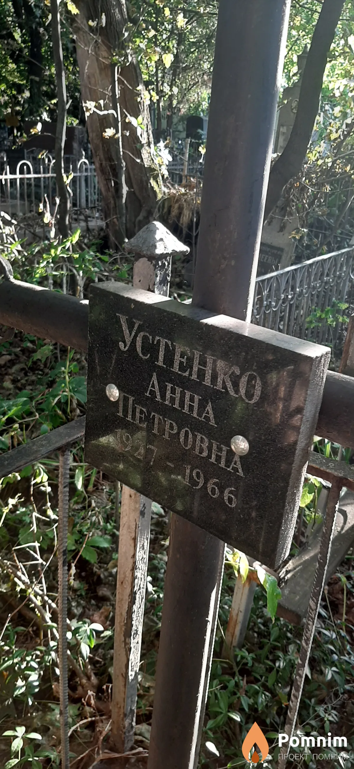 Устенко Анна Петровна