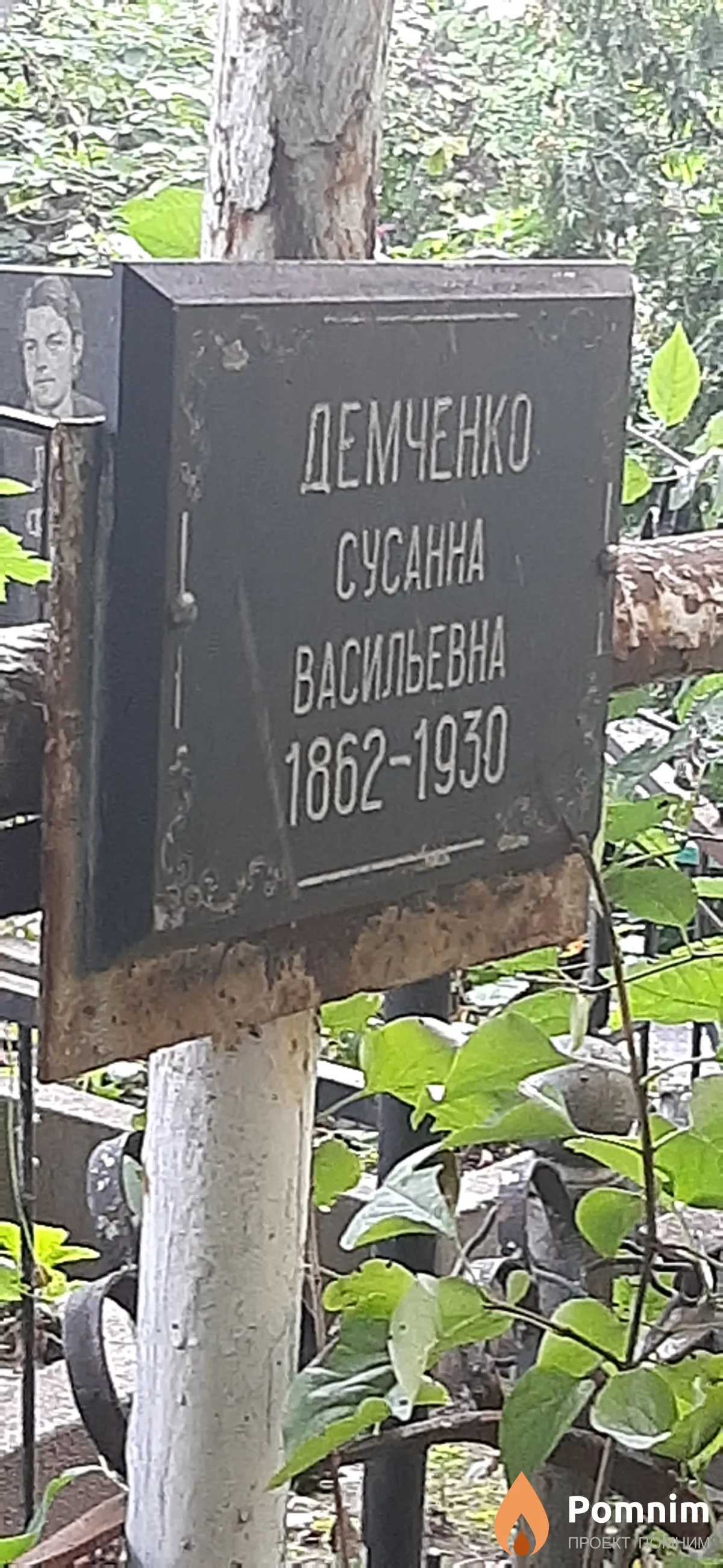 Демченко Сусанна Васильевна