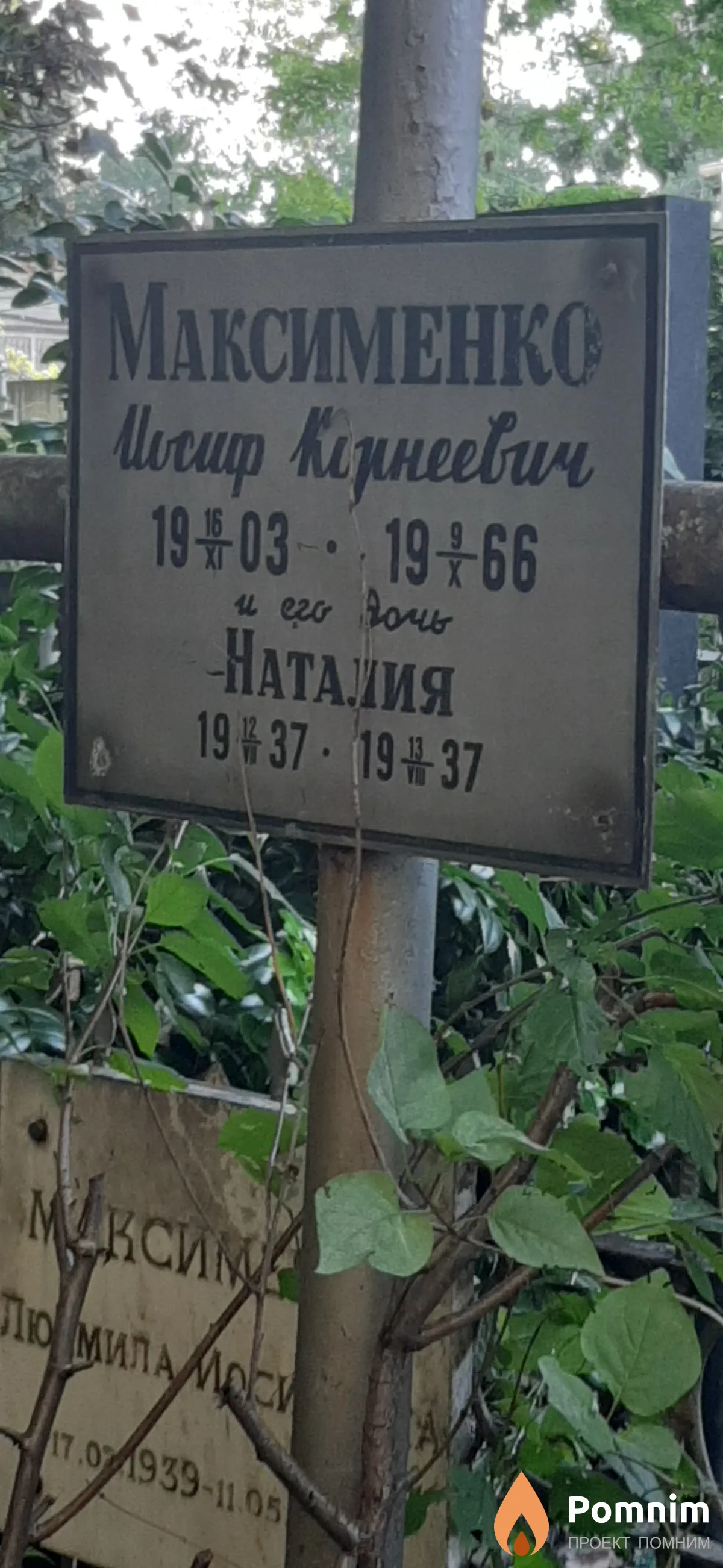 Максименко Наталия