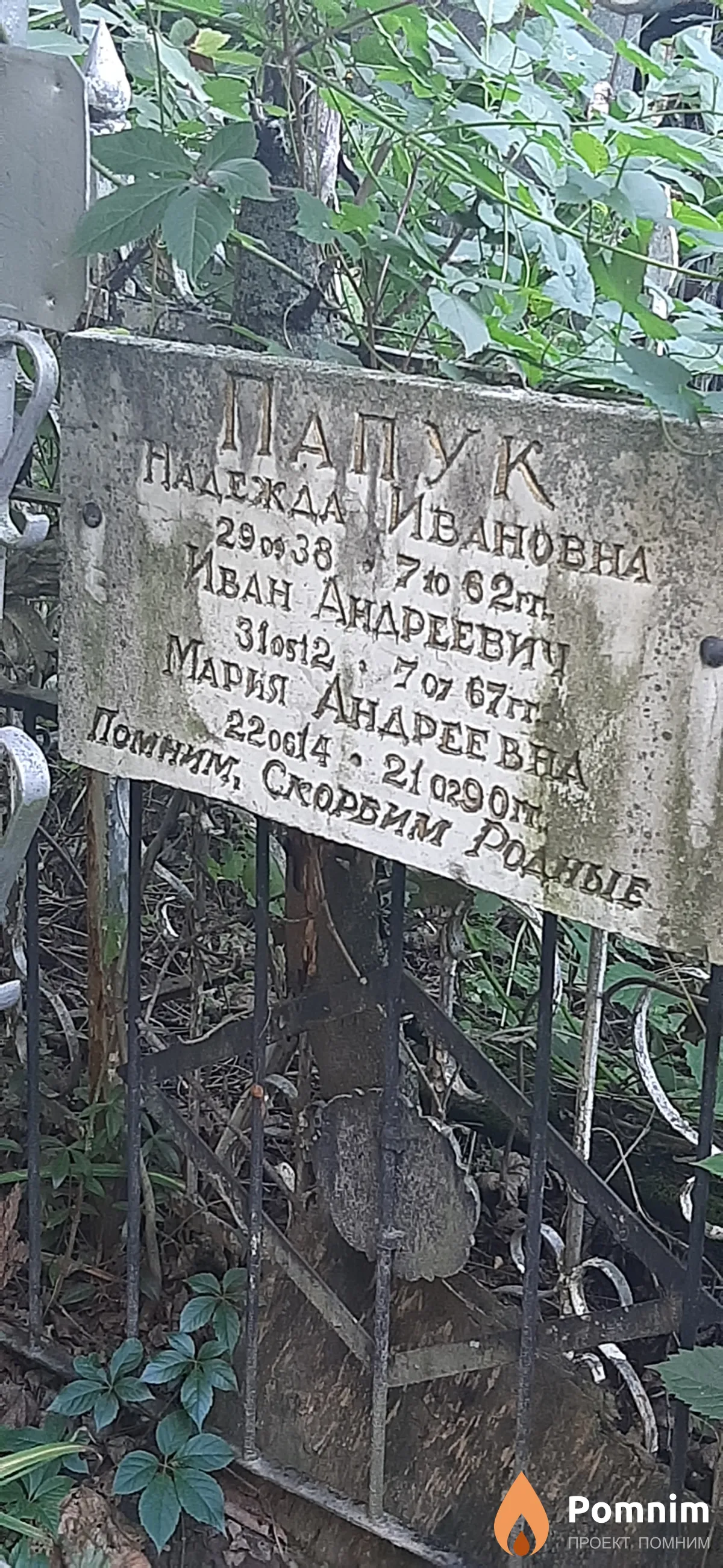 Папук Надежда Ивановна